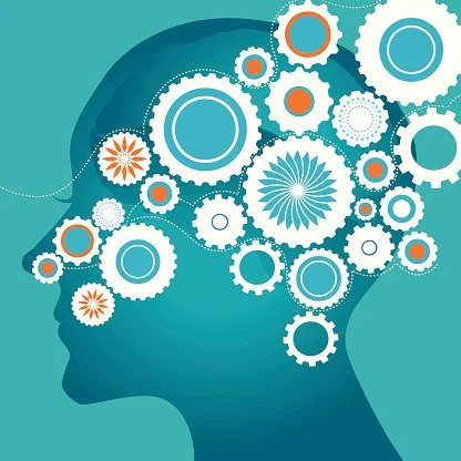 Une fleur rose et blanche en gros plan, avec un fond flou.