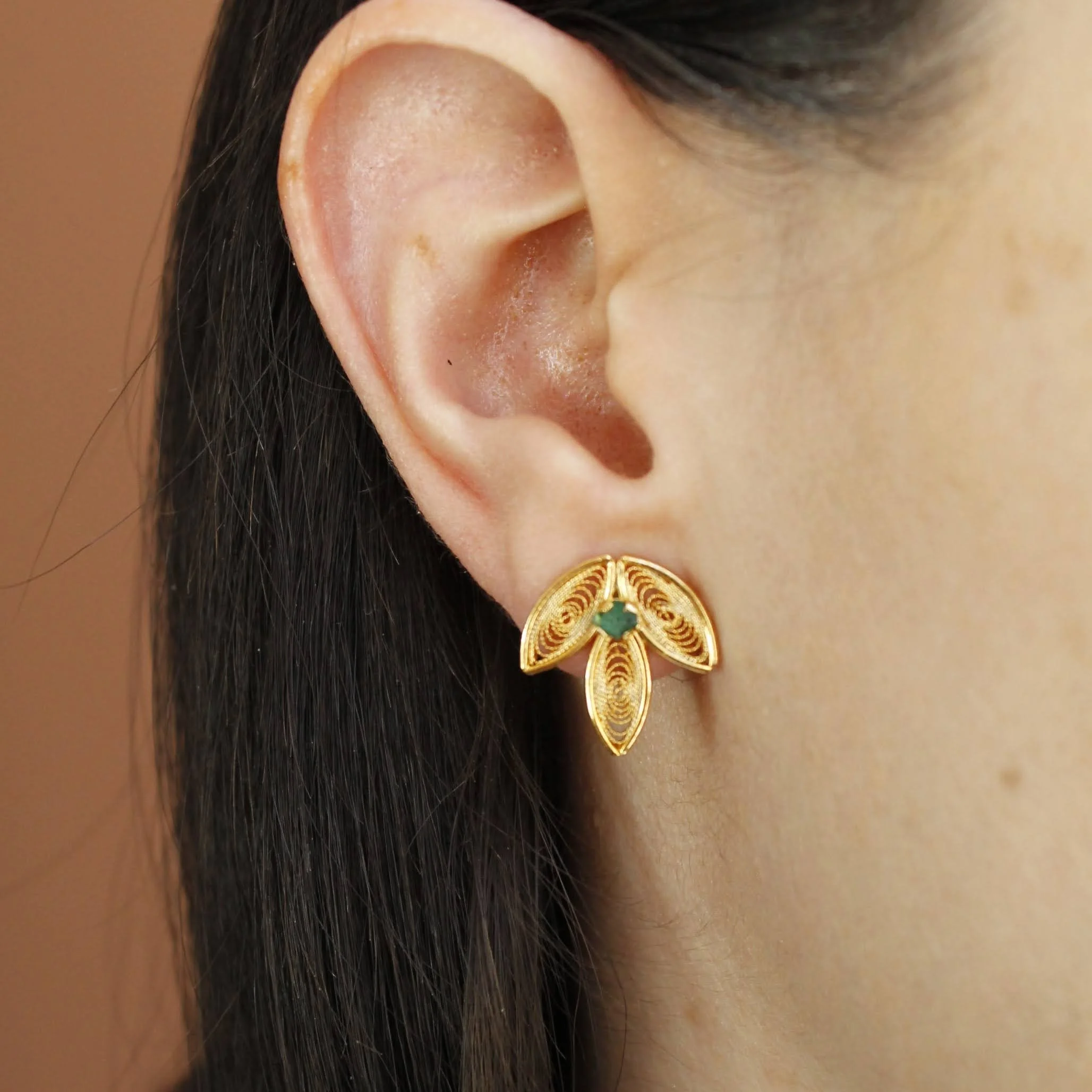 hojas lobe.JPG