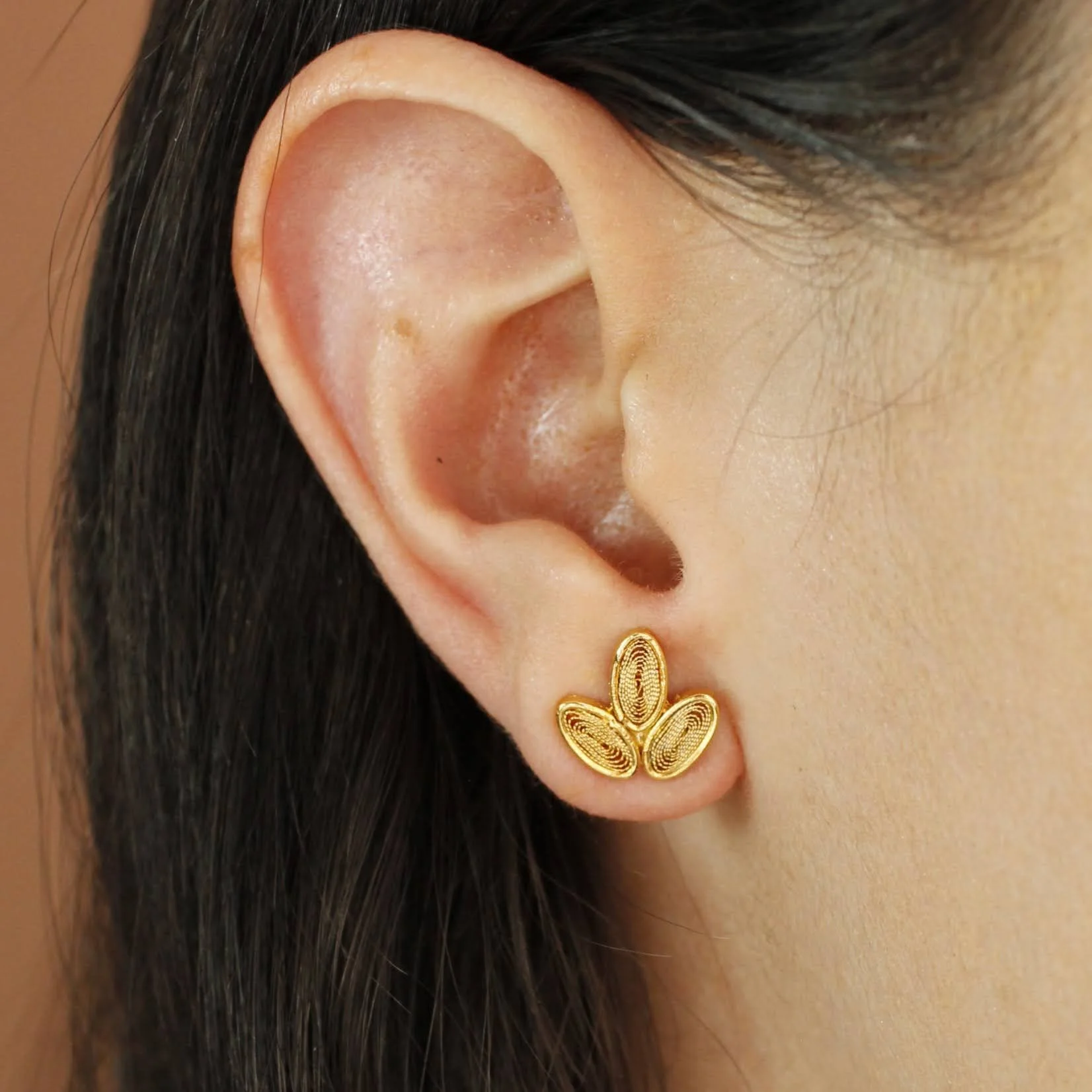 savia lobe2.JPG