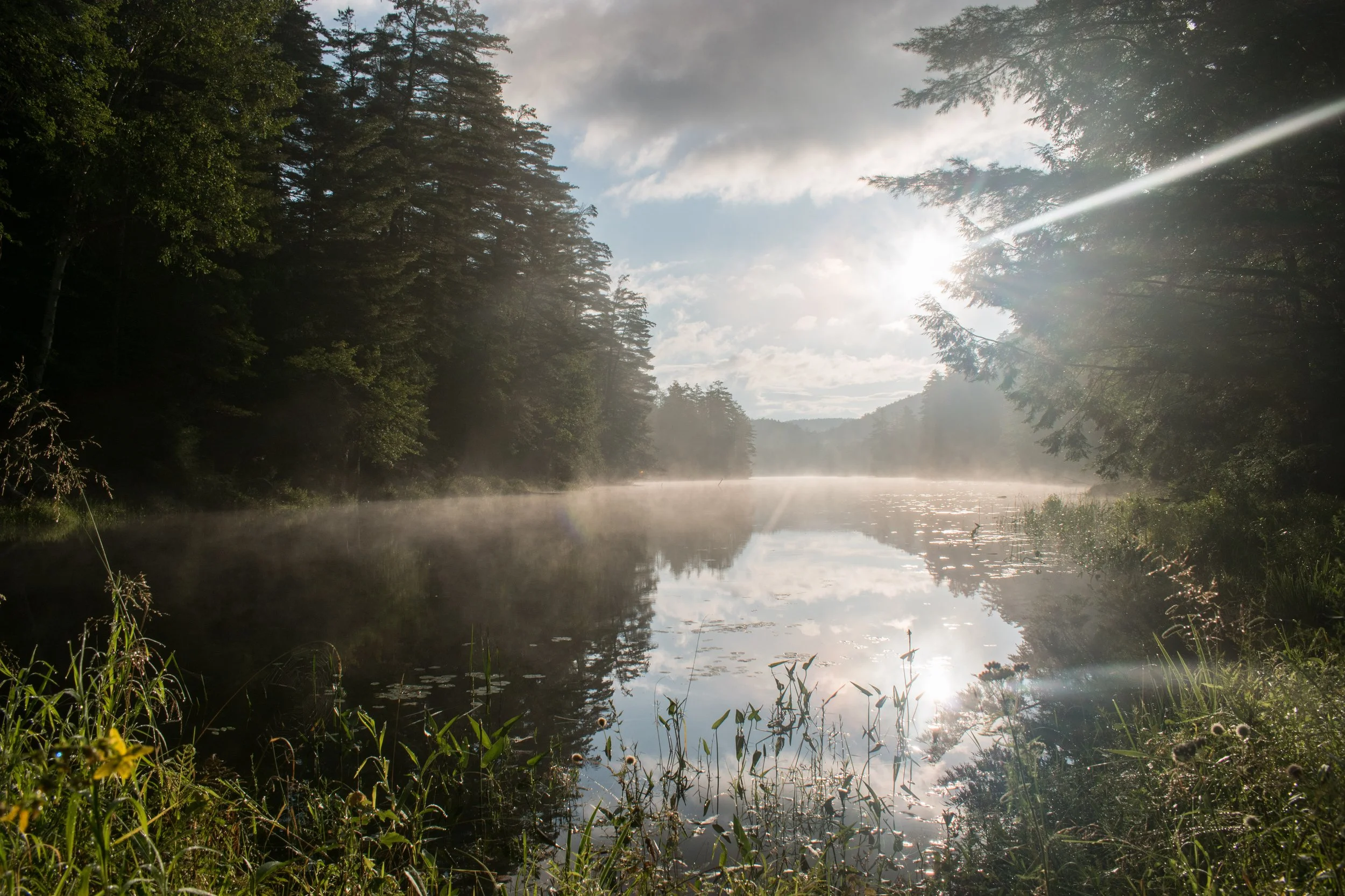 Adirondack Life Article: Bushwhacking