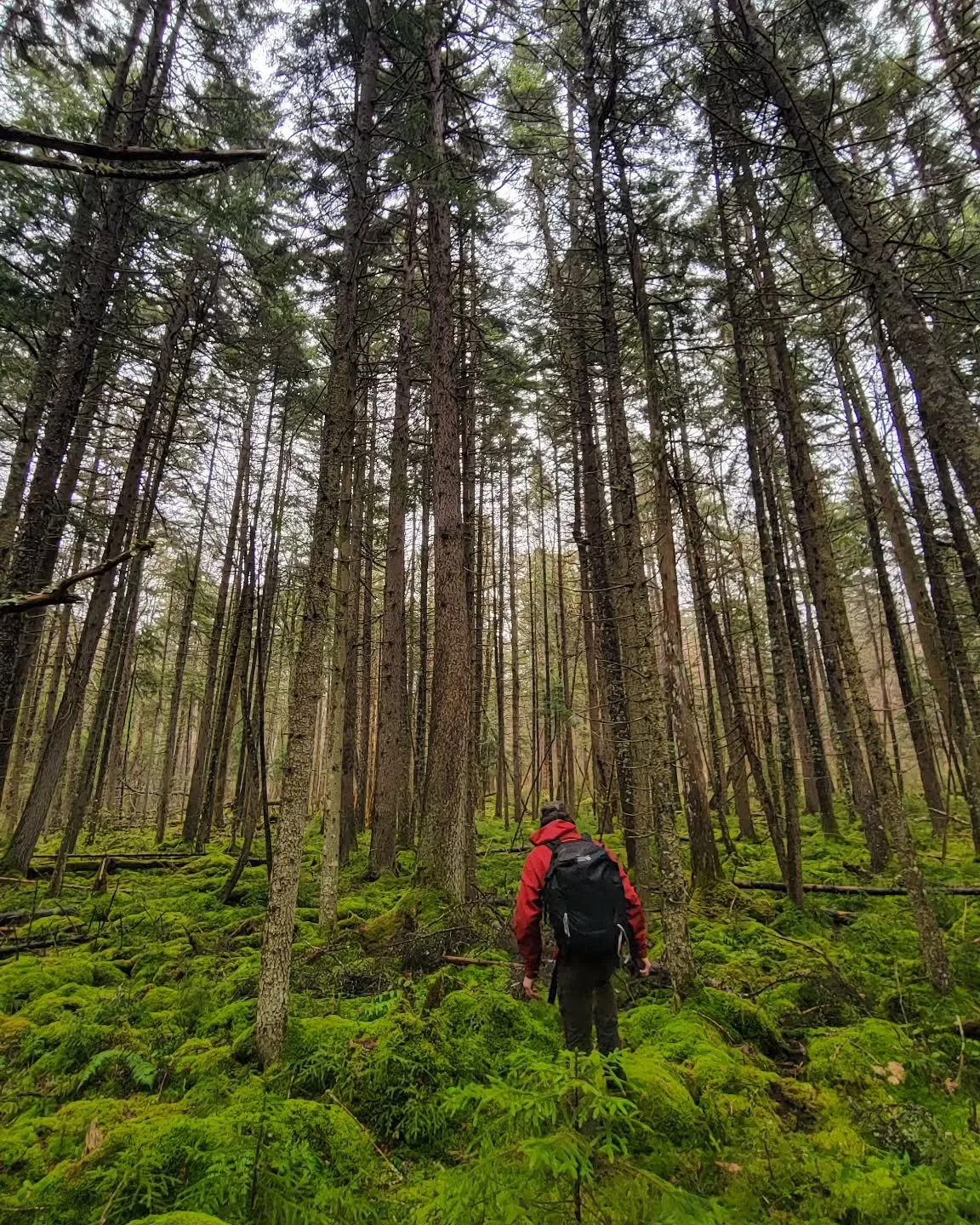 Somewhere north of the Lower Saranac.
Pat and I hadn't gotten into the woods together for quite some time, and on a rainy day, we knew it'd be perfect for a bushwhack.
10 minutes outside of town, and in the playground of Bob Marshall, we were treat