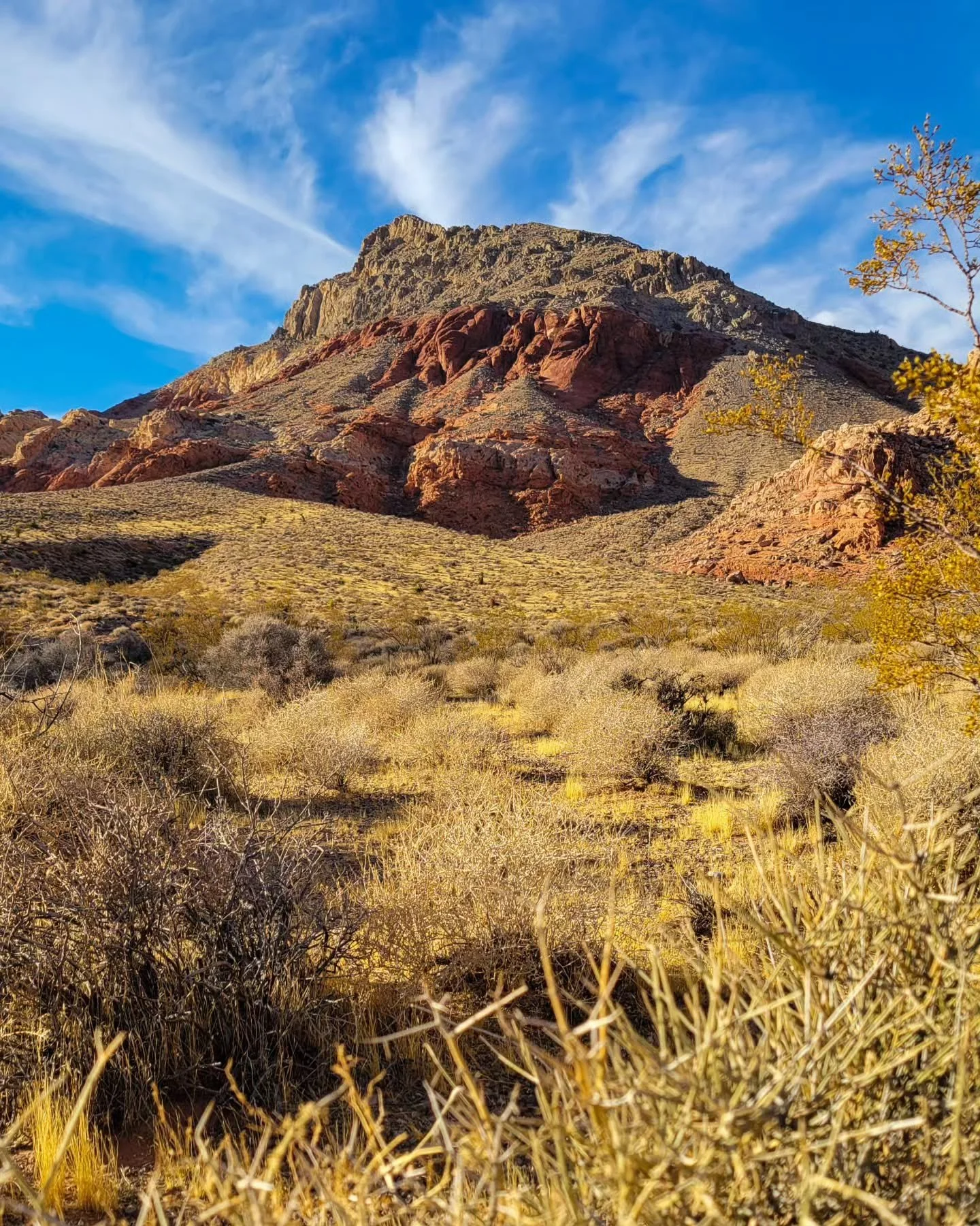 Red Rocks Thanksgiving Trip 2024: Part 1
I always find it hard to describe just how important these annual trips with my best friends are, and how much they mean to me.
We spend so long planning, highly anticipating the day we fly out, and then jus
