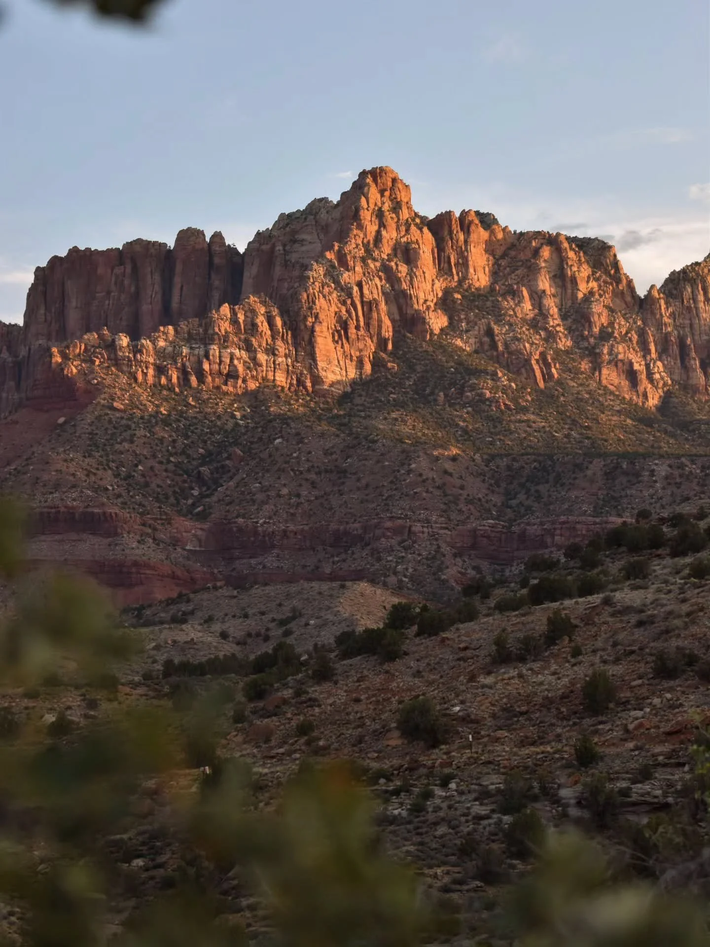 Getting back into the high desert.
I've always wanted to spend more than just a day or two in Zion National Park and its backcountry. While I had been a couple of times before, I felt like I was checking boxes for what other people expected I do the