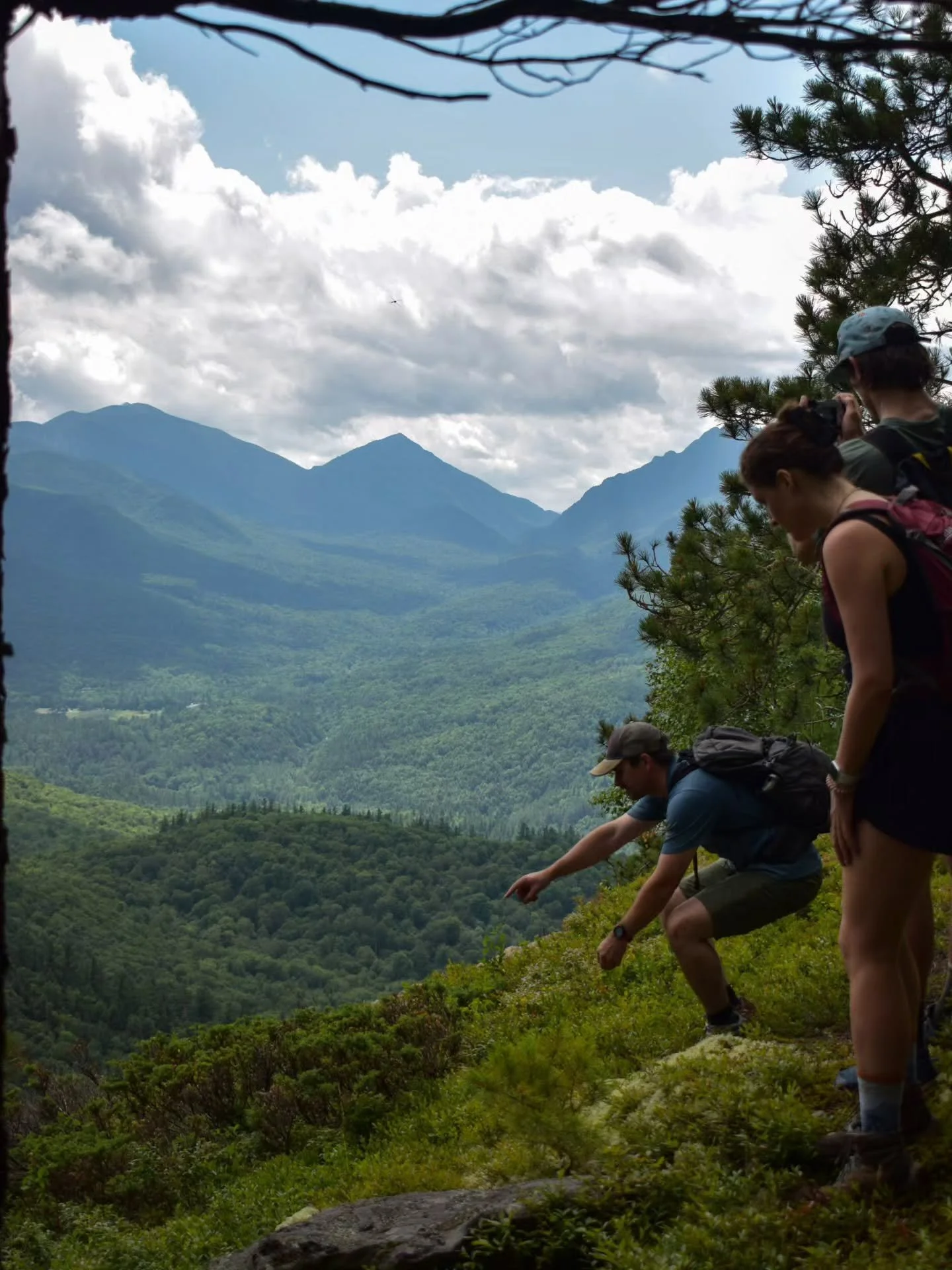 Exploring quiet trails and eating blueberries in the Giant Mountain Wilderness.
I had never been up to Spread Eagle before (!) so we decided to loop it in an interesting way, along with Hopkins. Off we adventured through old forest roads, up into mo