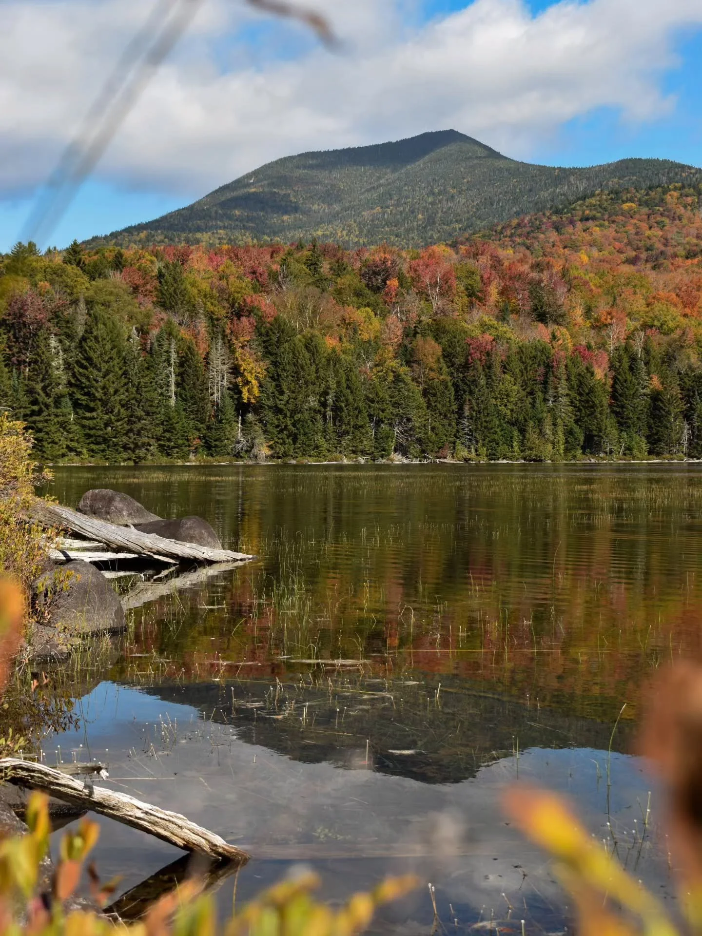 Swimming through spruce for fall views.
Even in the fall, I can't help but gravitate towards these types of trips. The ones where you really only have a view or two throughout the day, found by searching for a rocky outcropping or cliff top in a sea