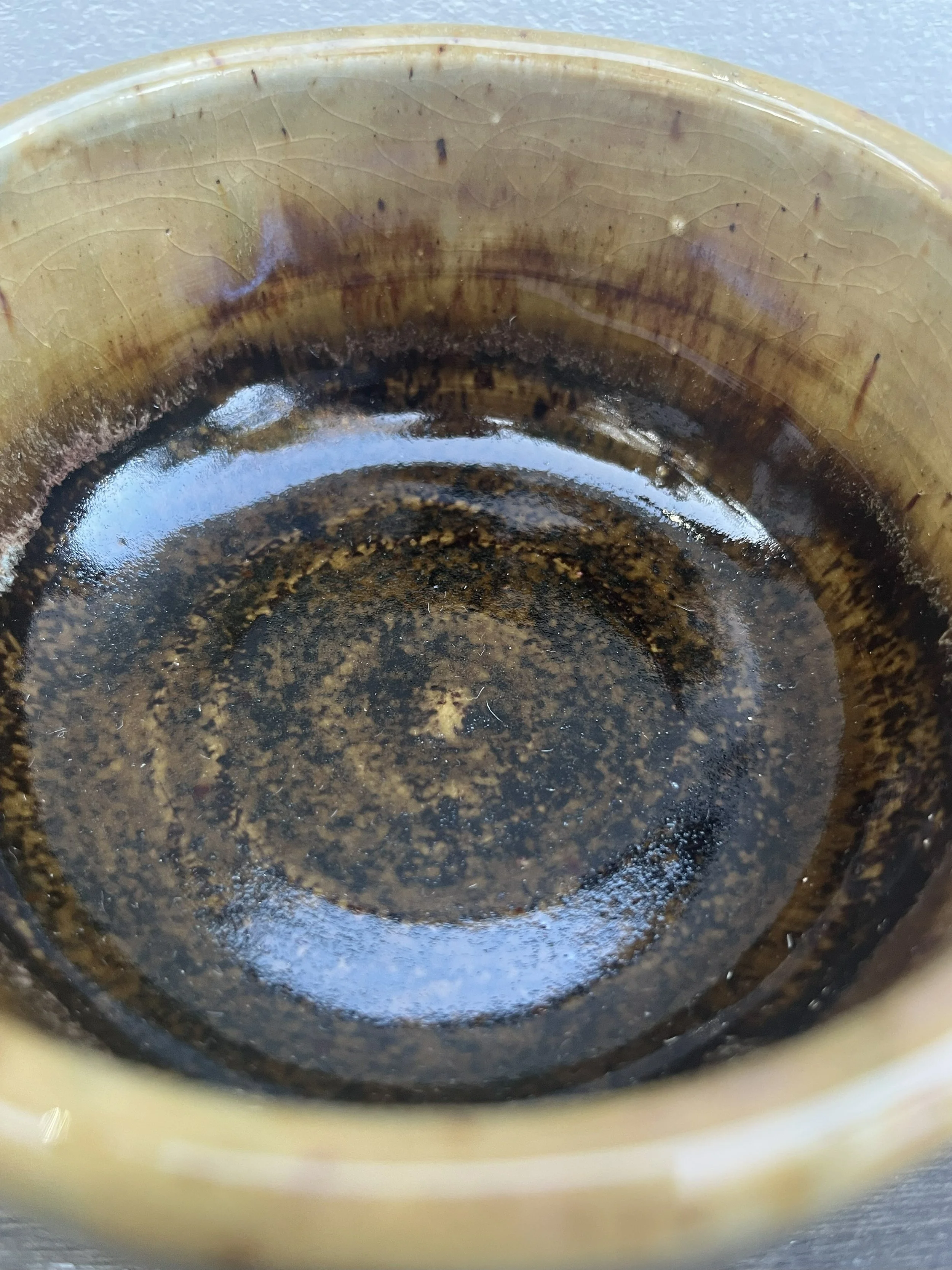 Frenchonionsoup brown2.JPG