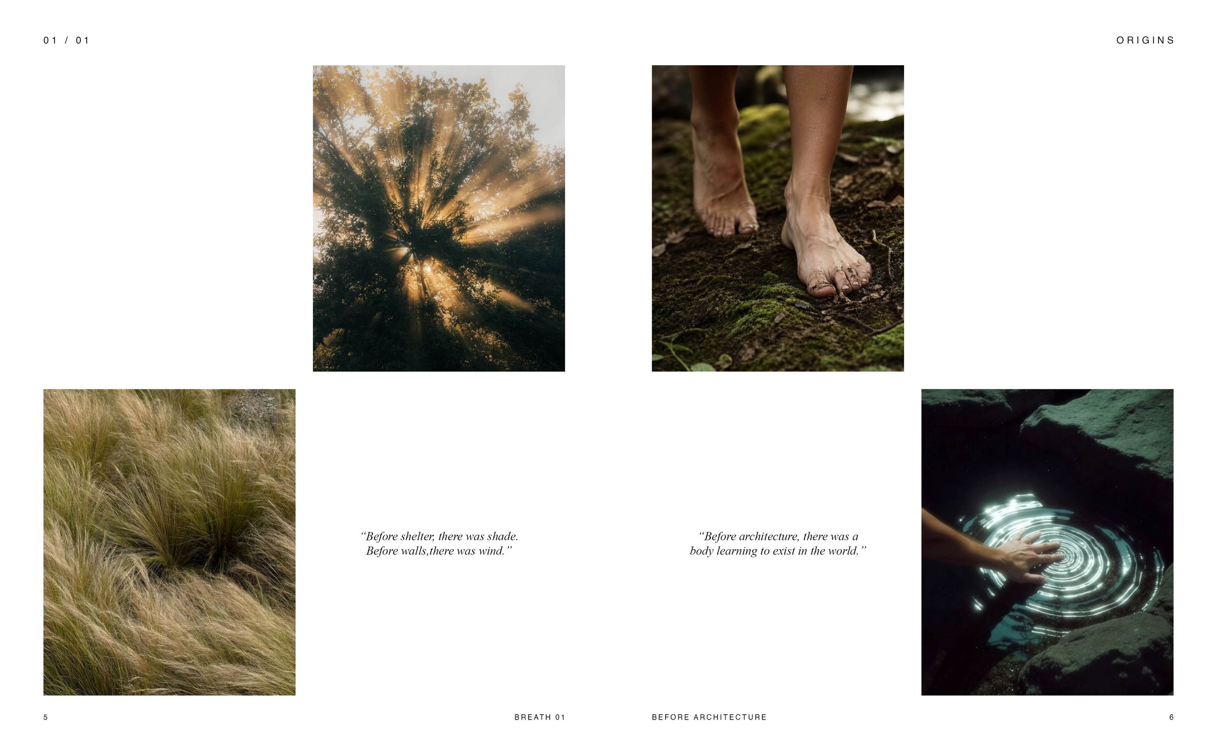 Collection of nature photographs including: sunlight filtering through trees, close-up of bare feet on mossy ground, tall grass, a cave or tunnel with water, and a person's hand touching a swirling water surface. The page features quotes about nature