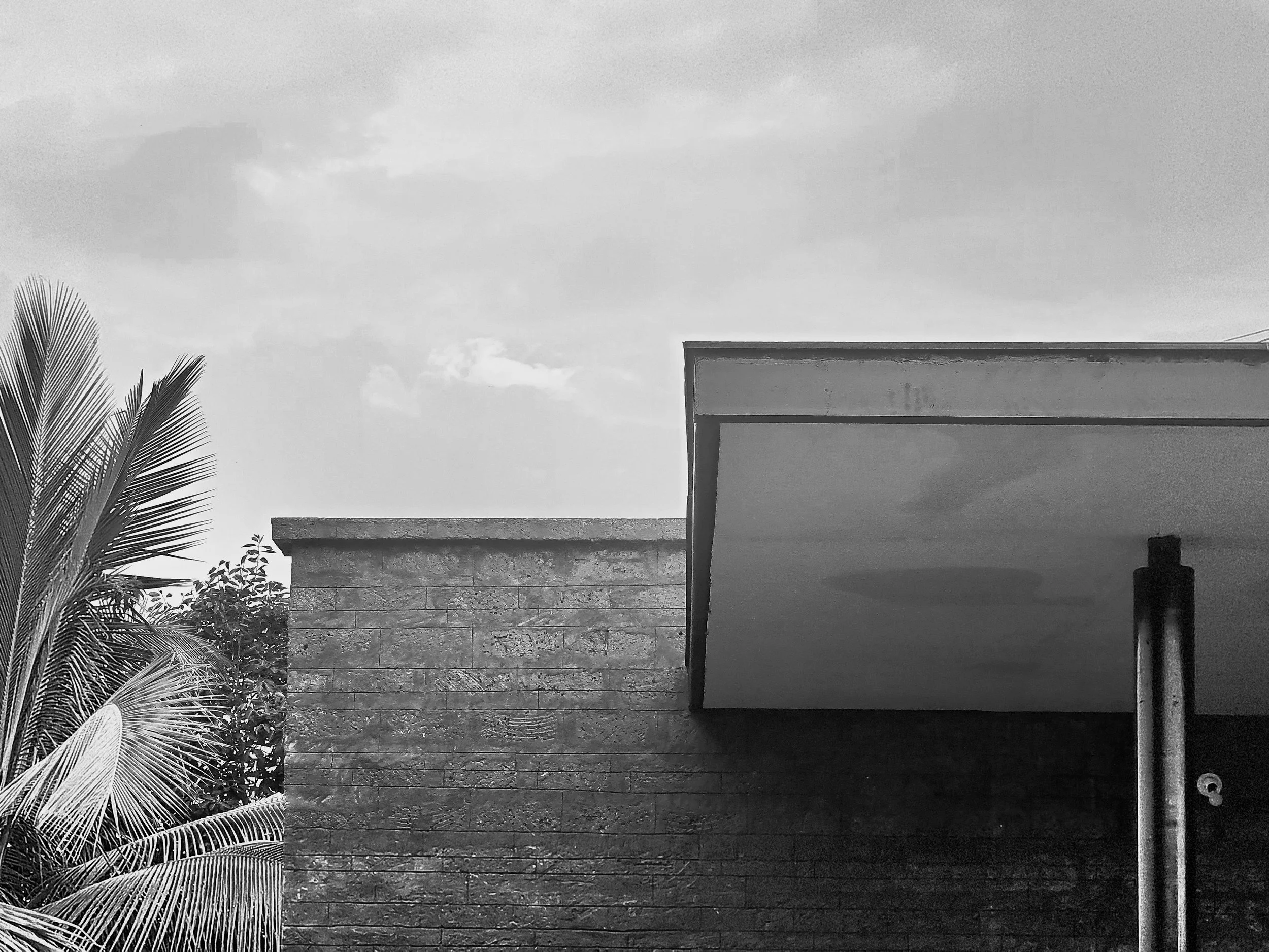 Black and white photo of a modern building with a flat roof, part of the building has a textured brick wall, and there are large palm leaves on the left side of the image.