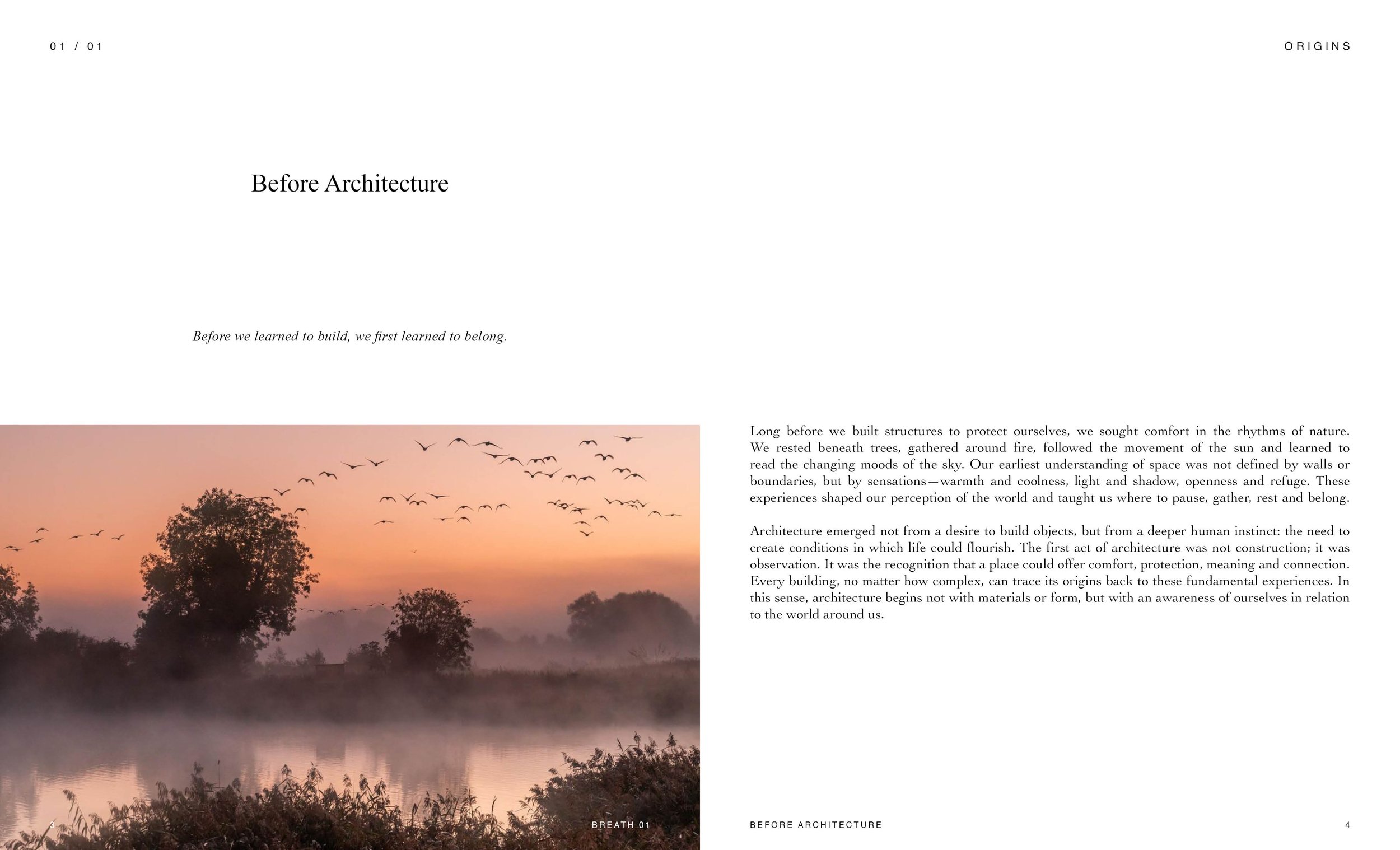 A photograph of a sunset over a misty landscape with trees and birds flying in the sky.
