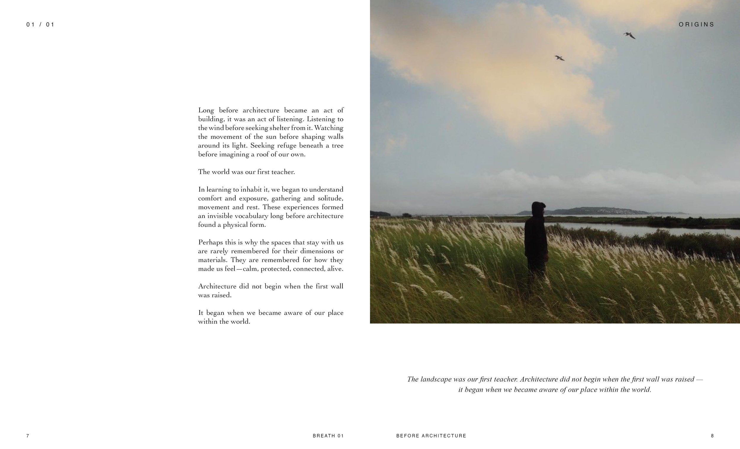 A person standing in a field of tall grass, looking at the sky with clouds and two birds flying overhead.