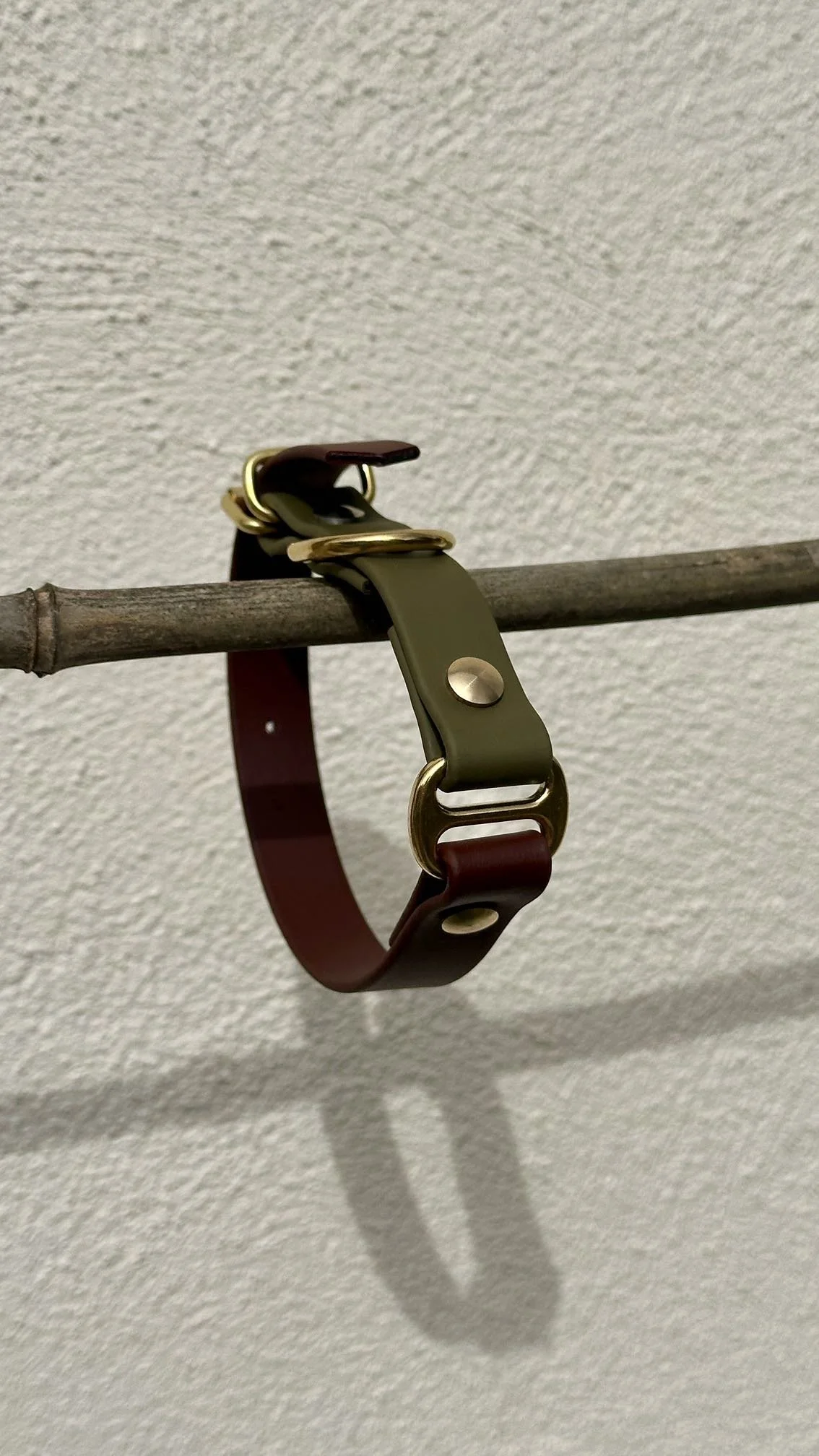 Collier pour chien bi-couleur S