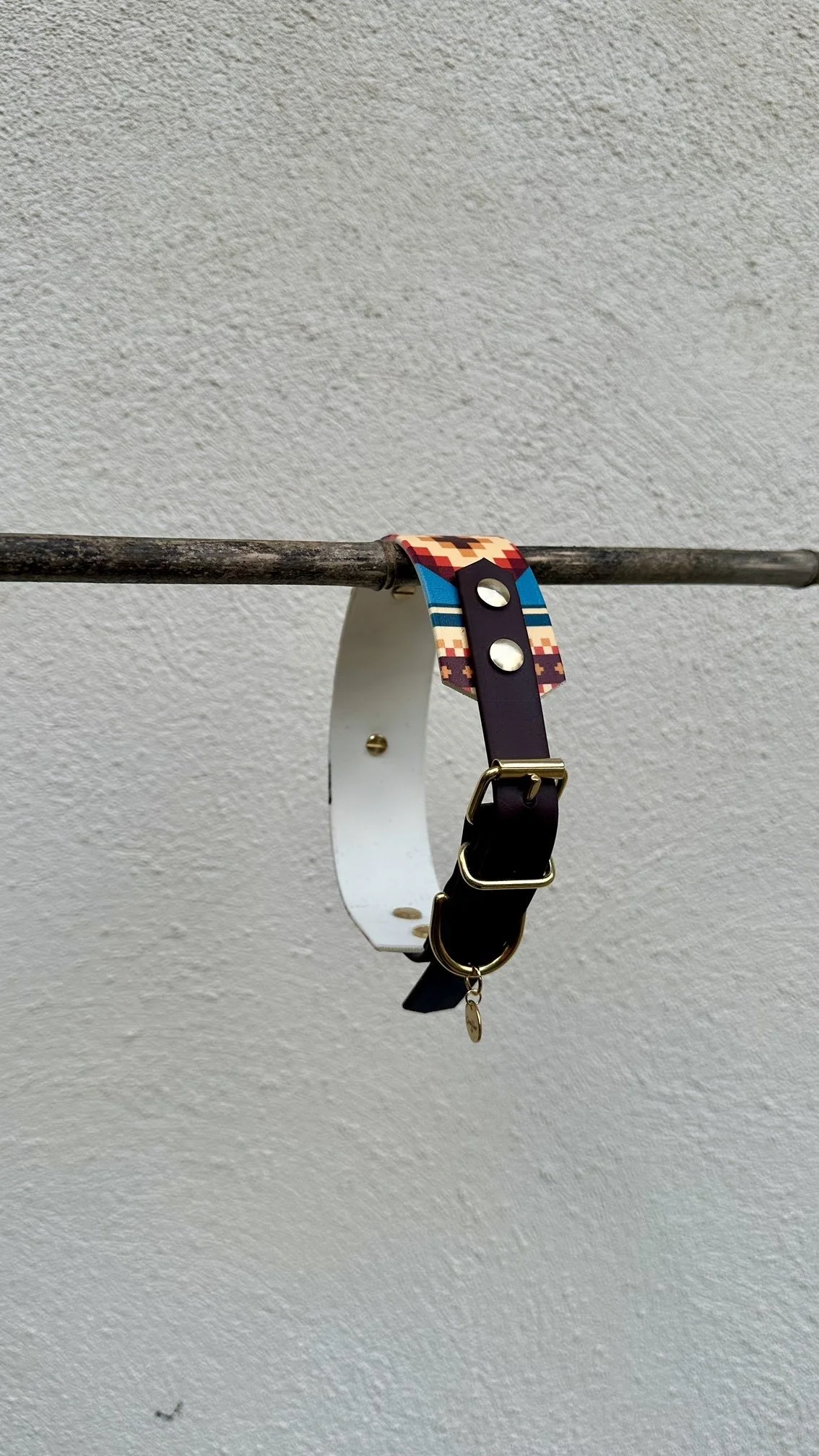 Collier chien biothane large