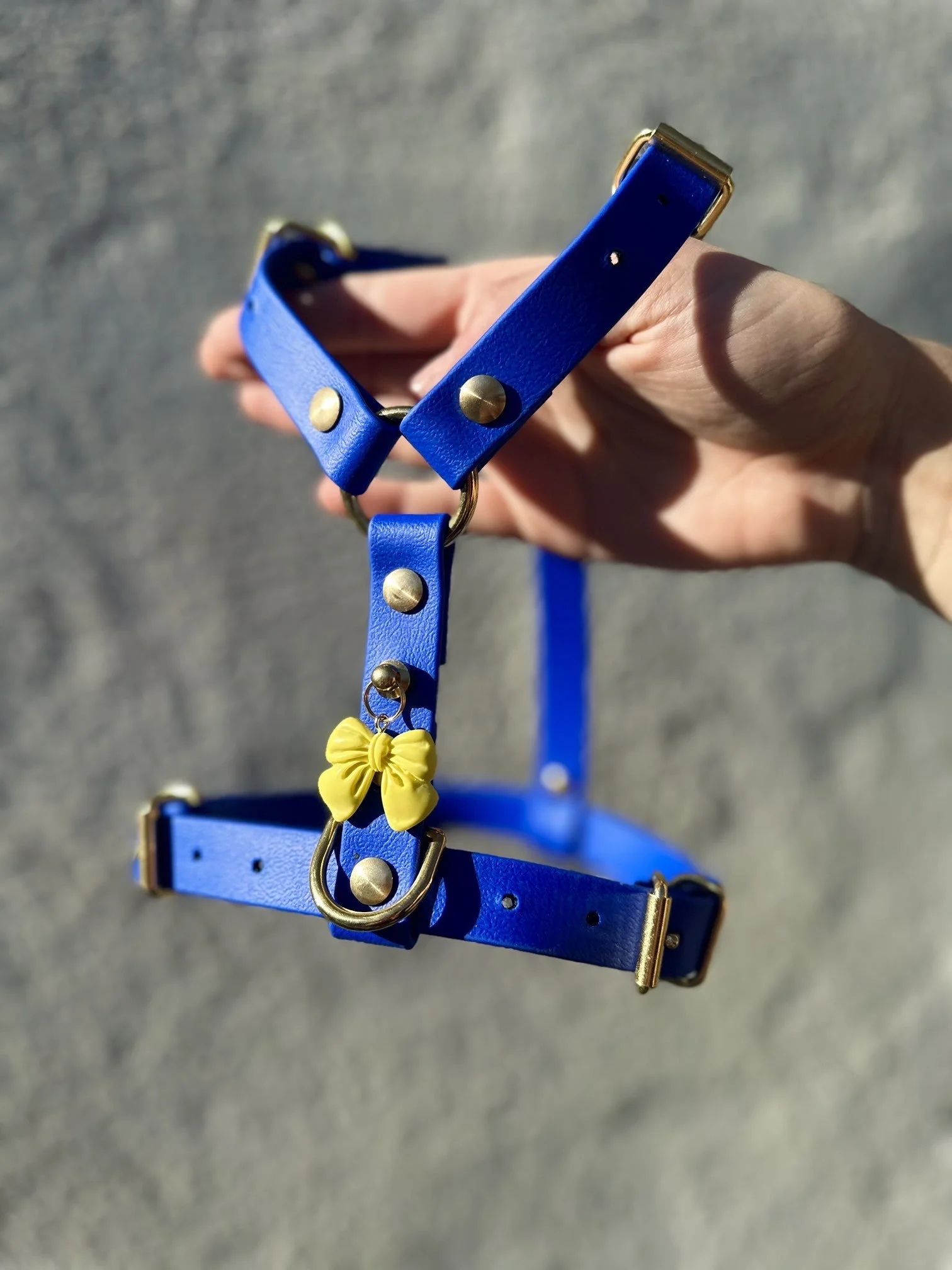 Harnais pour chien personnalisé - Taille S