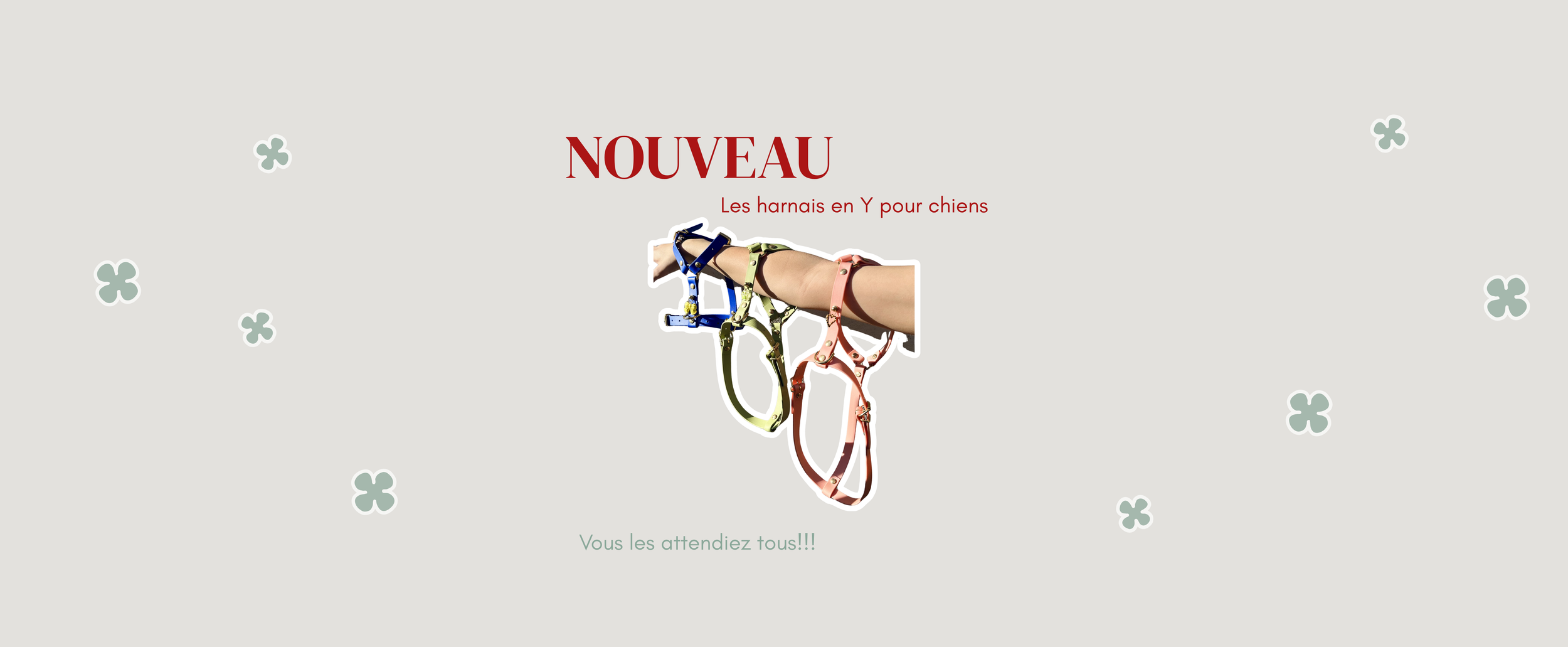Harnais personnalisables pour chien en biothane