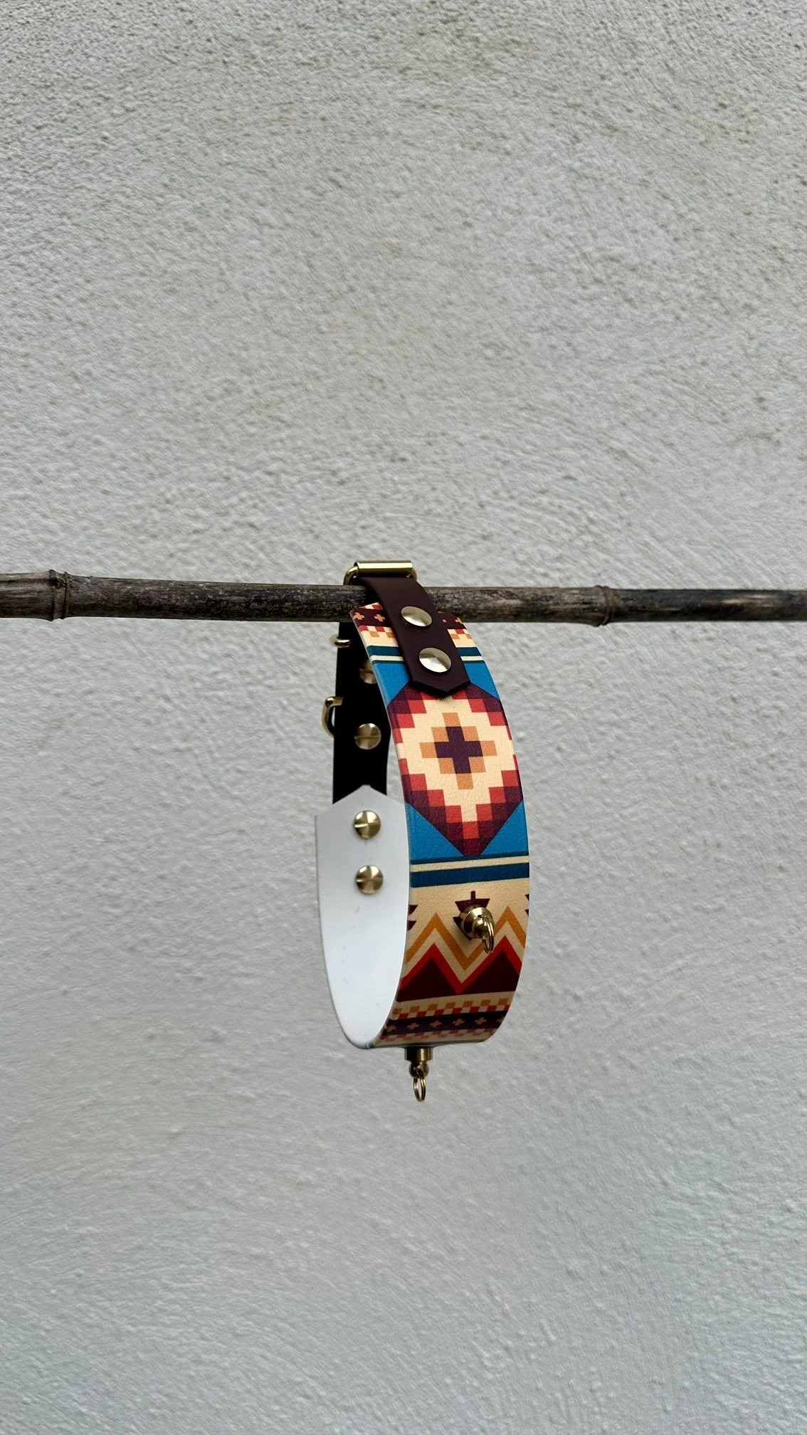 Collier pour chien en BioThane 38mm – Taille L