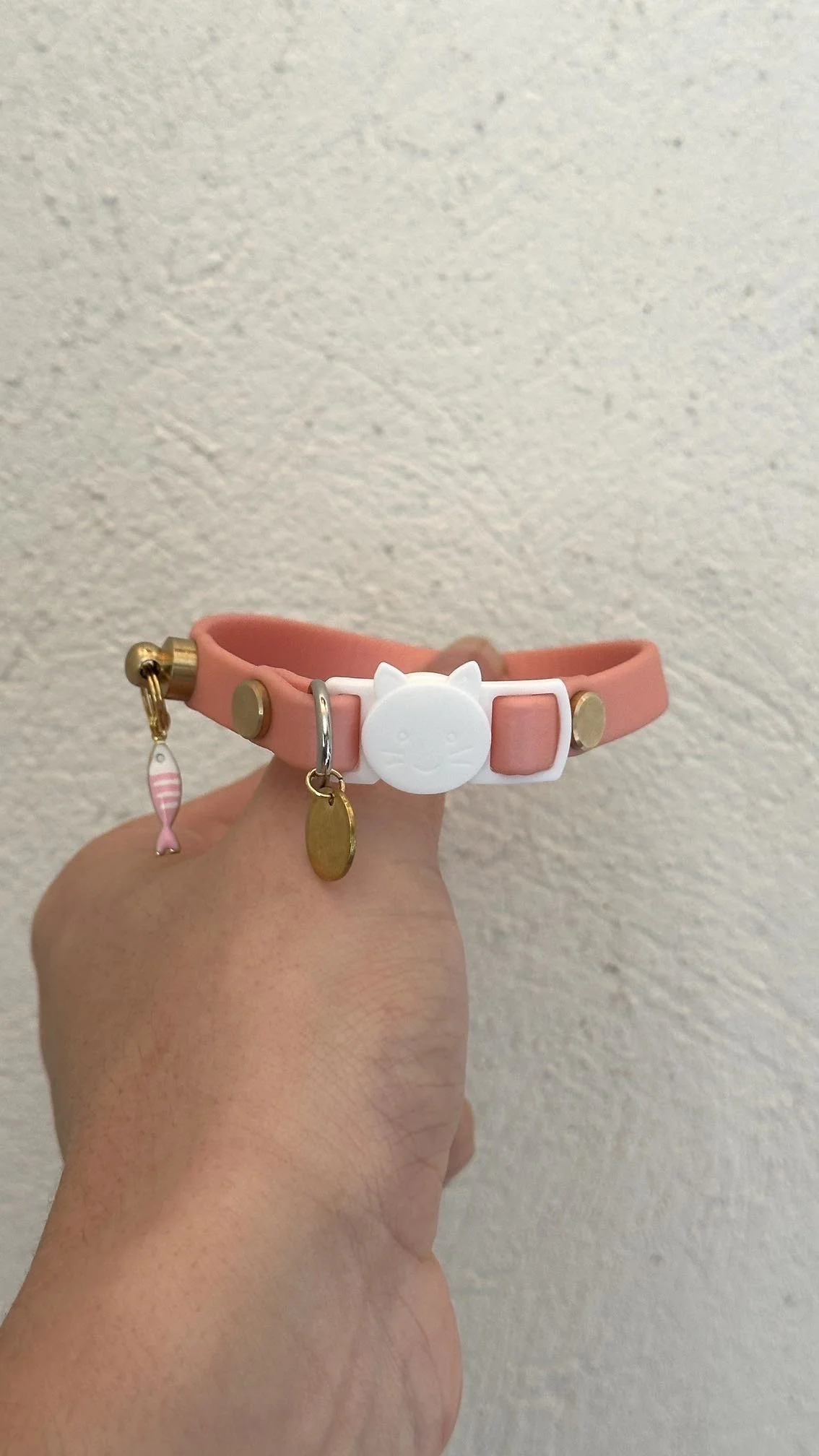 Collier pour chat personnalisé 9mm - 24cm