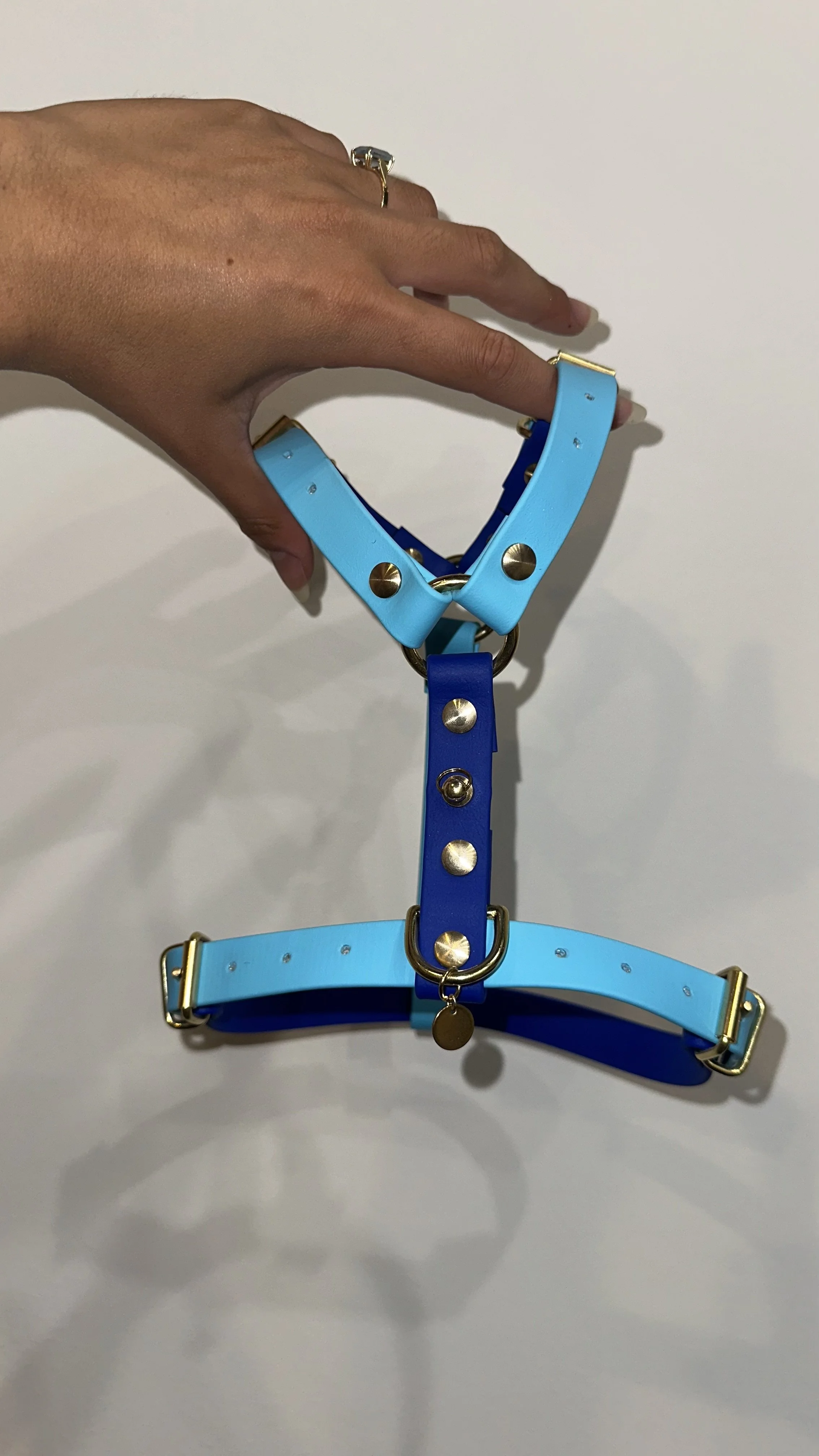 Harnais pour chien personnalisé - Taille S bi-couleur