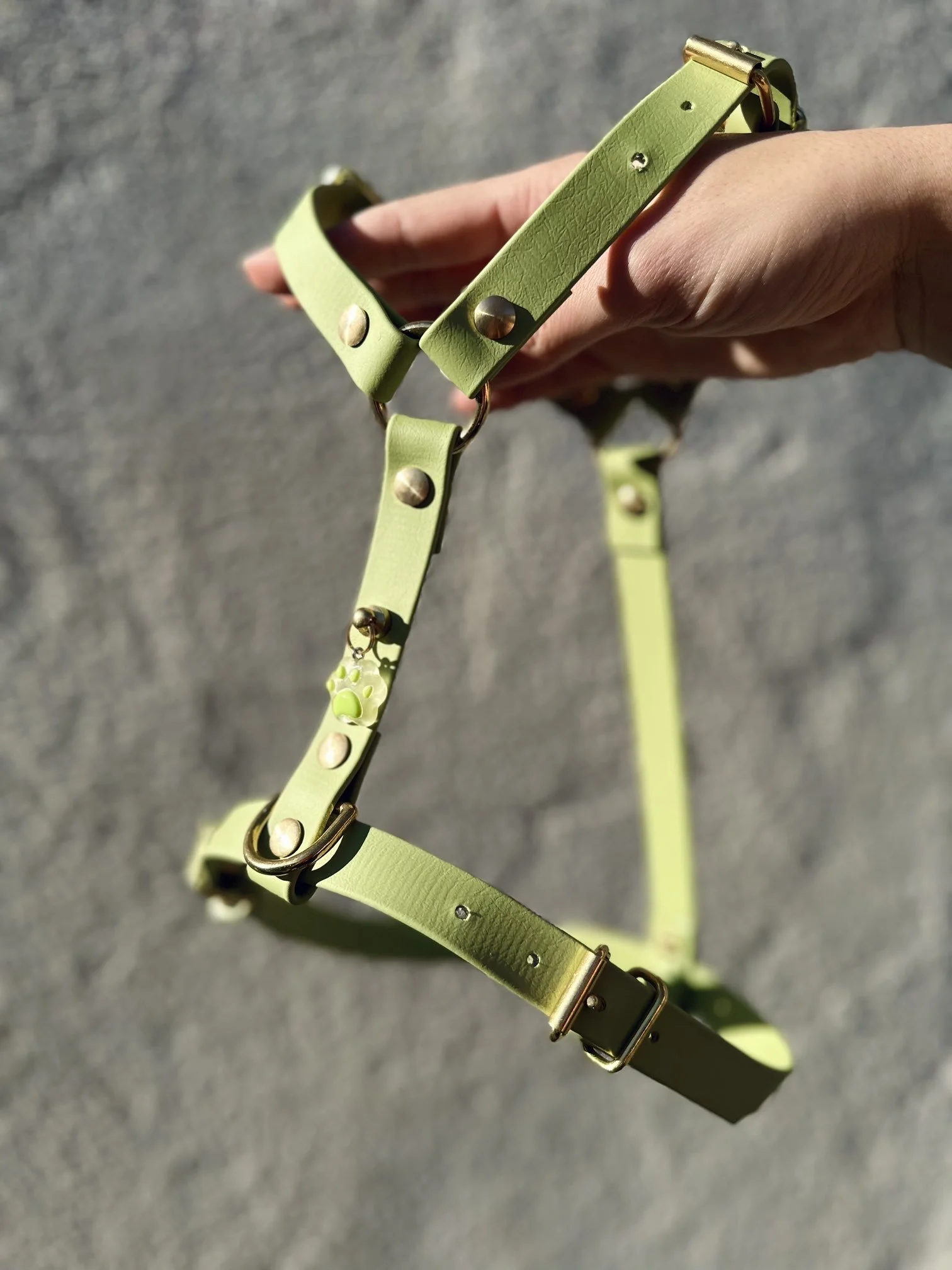 Harnais pour chien personnalisé - Taille M