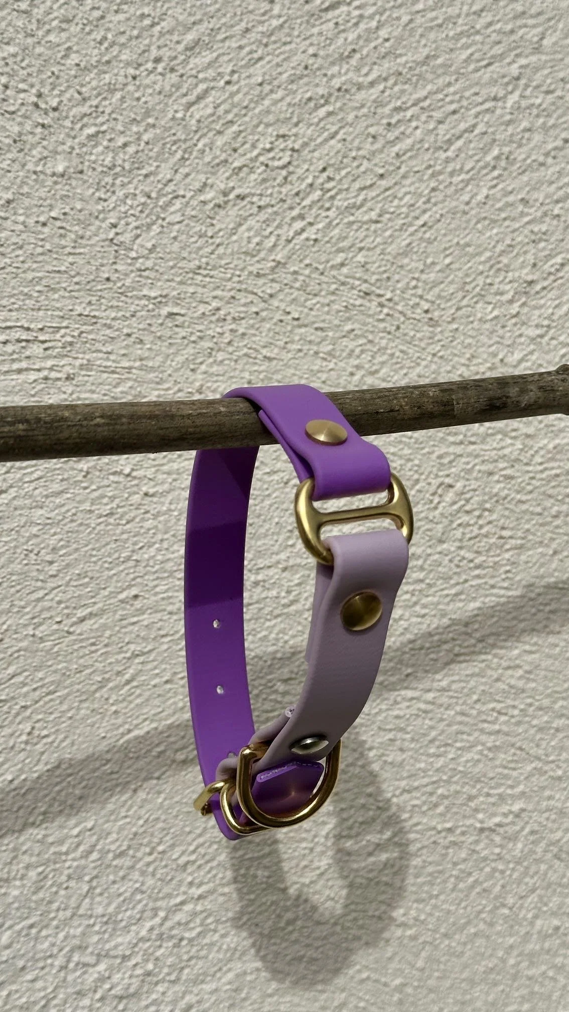 Collier pour chien bi-couleur S