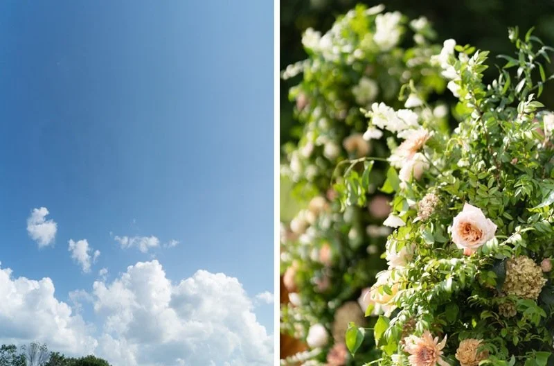 Split image showing a blue sky with white clouds on the left and a lush green garden filled with pink and white flowers on the right.