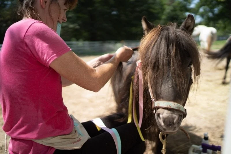 A young girl in a pink shirt grooming a small brown pony with a pink halter in a sunny outdoor stable yard.
