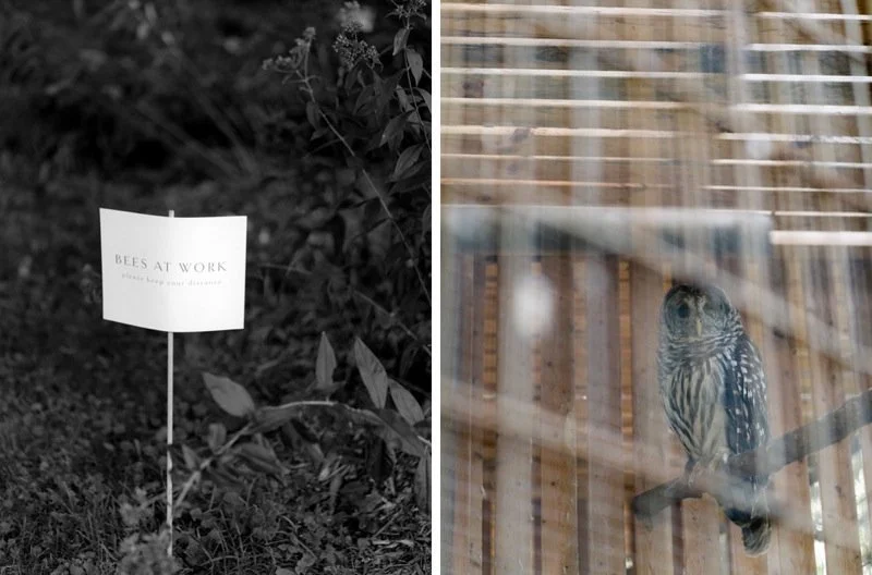 Side-by-side photo: the left shows a sign that reads "BEES AT WORK" in black text on a white background, placed among greenery; the right shows a bird, possibly an owl, perched behind glass or bars.