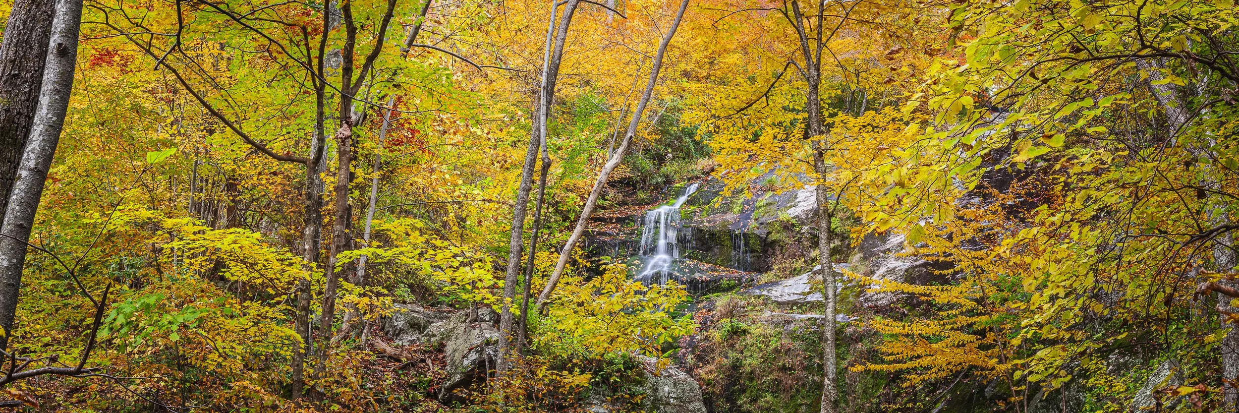 Autumn Gold Waterfall Web-.jpg