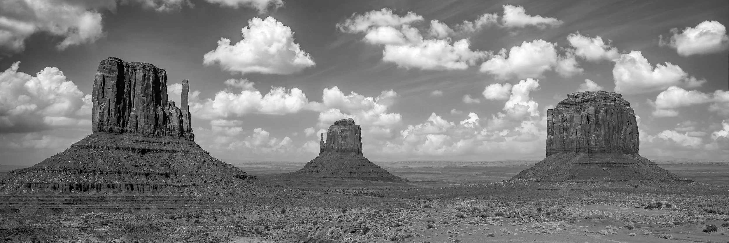 Monument Valley Mittens BW 1x3-2.jpg