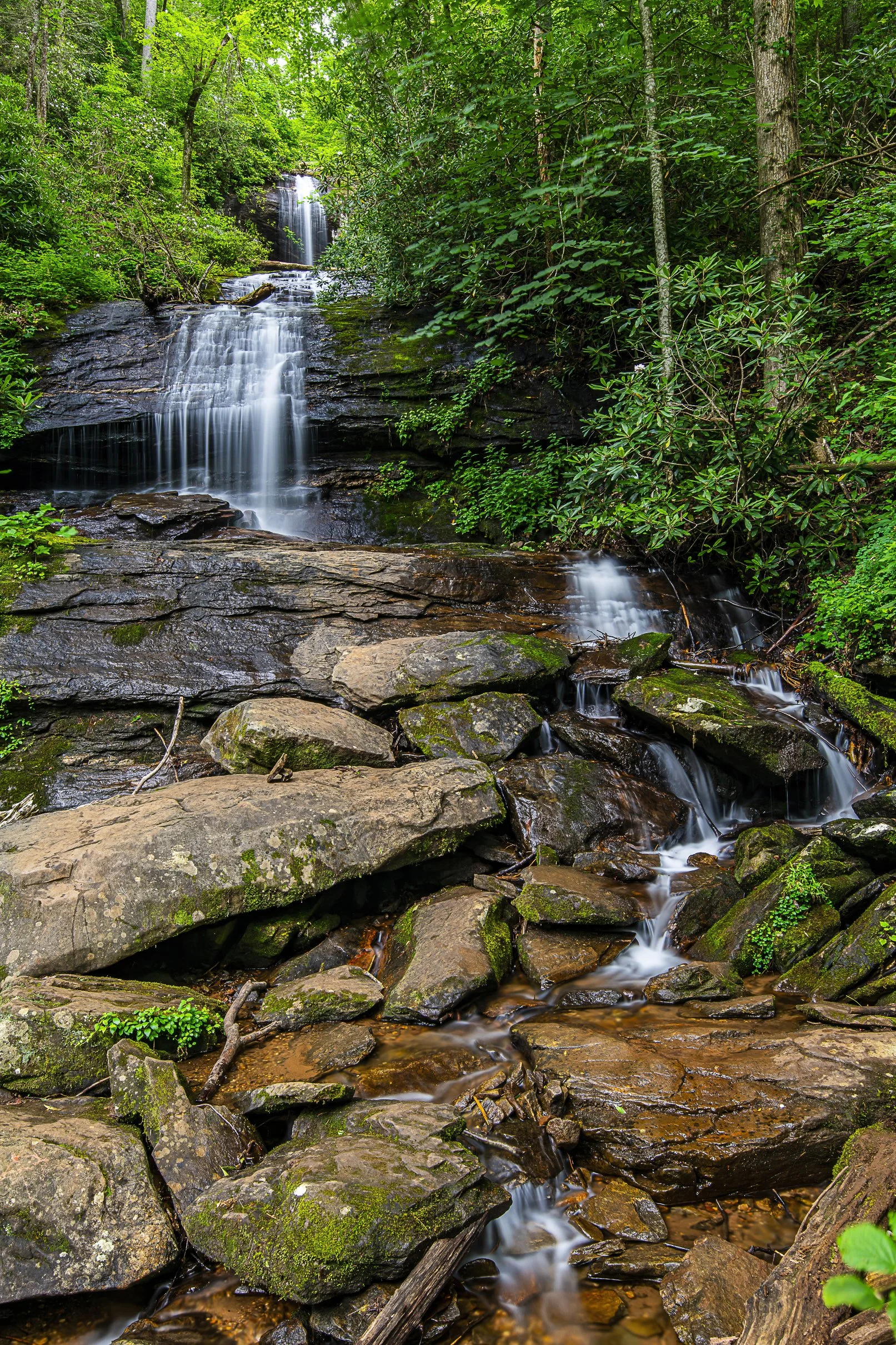 The Legend of DeSoto