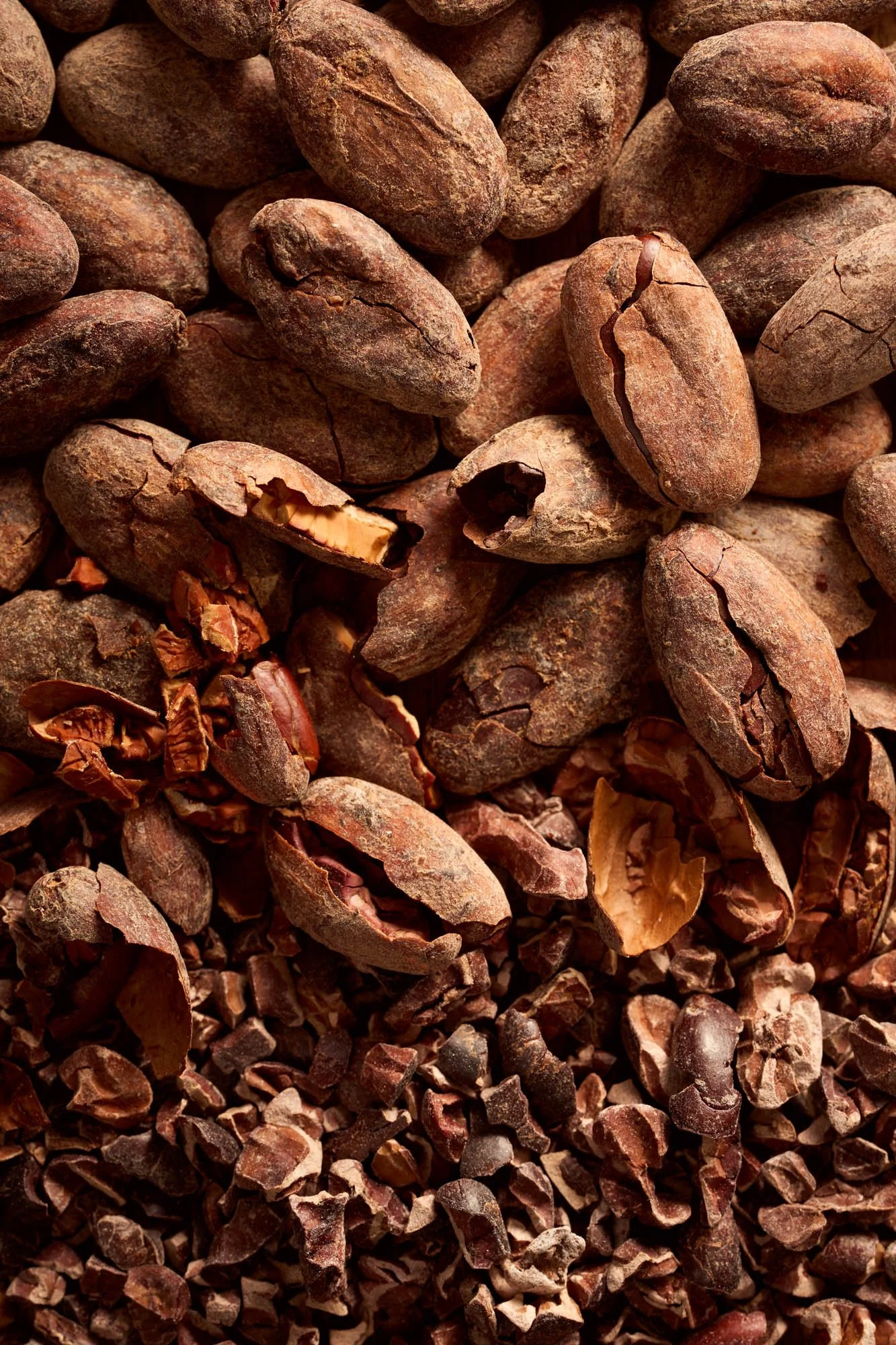 Whittard_MACRO_Cocoa_beans_1.jpg