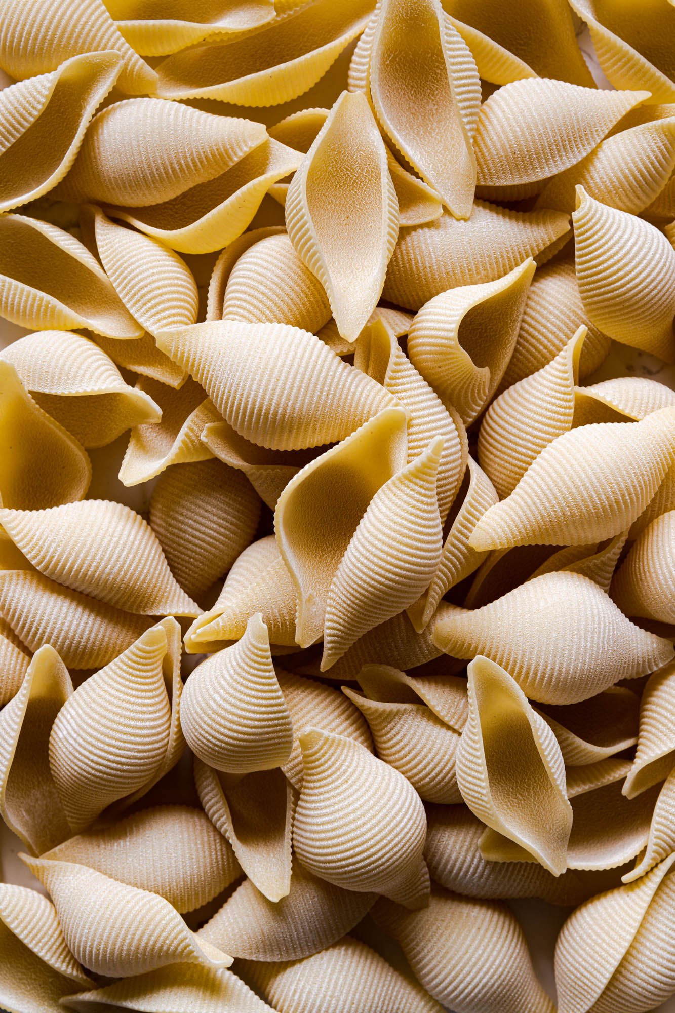 Pasta / S'usi Gastro Studio / Amsterdam food and prop stylist.jpg