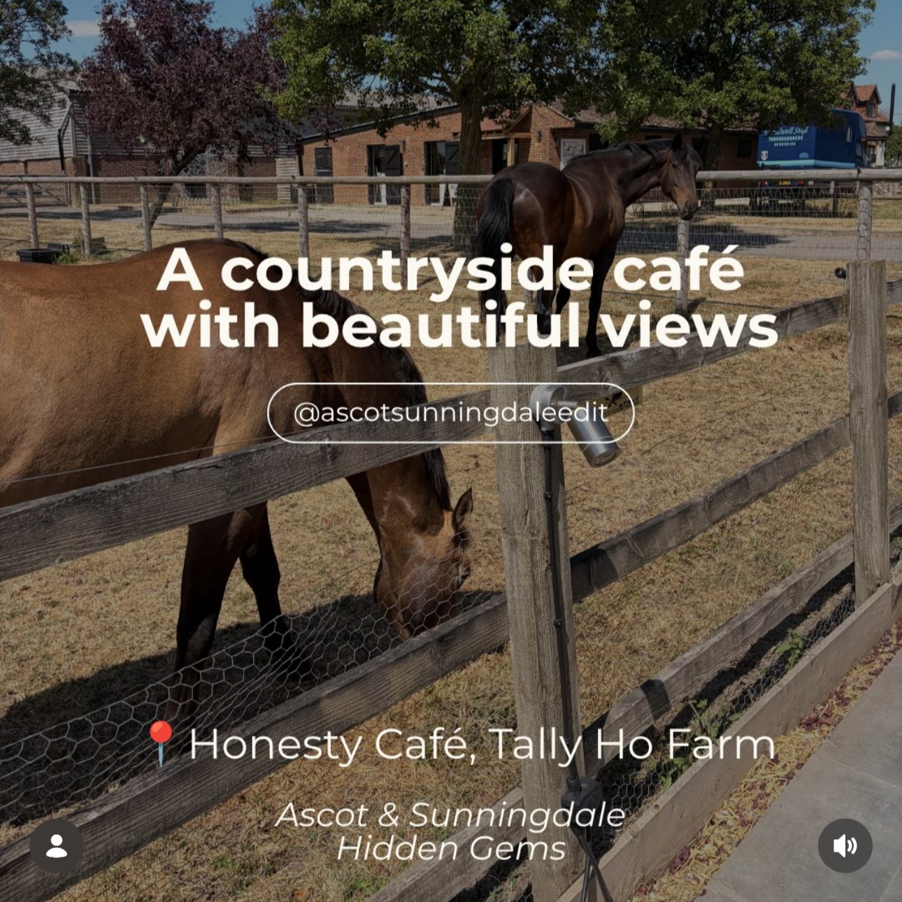 A photo of a farm with two horses inside a wooden fence, one black and one brown, with trees and farm buildings in the background. Overlaid text reads "A countryside café with beautiful views" and mentions location at Honesty Café, Tally Ho Farm, Asc