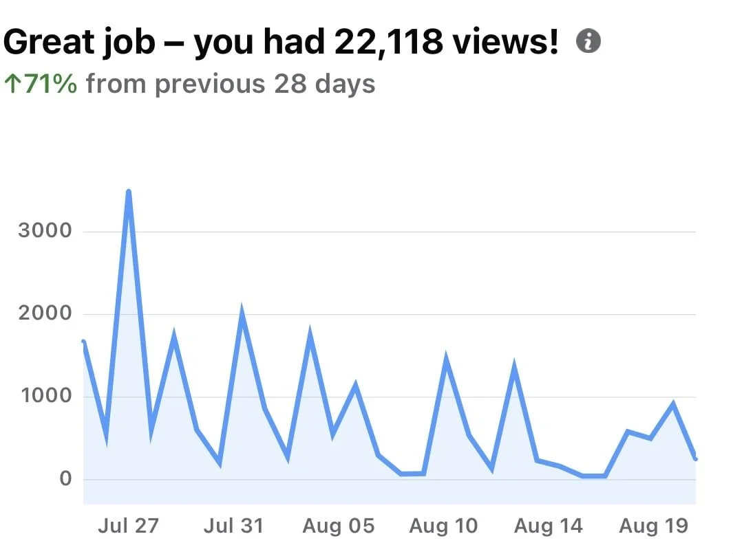 Line graph showing views over time from July 27 to August 19, with a peak around July 27 and a general decline afterward, reaching 22,118 views, marked as a great job.