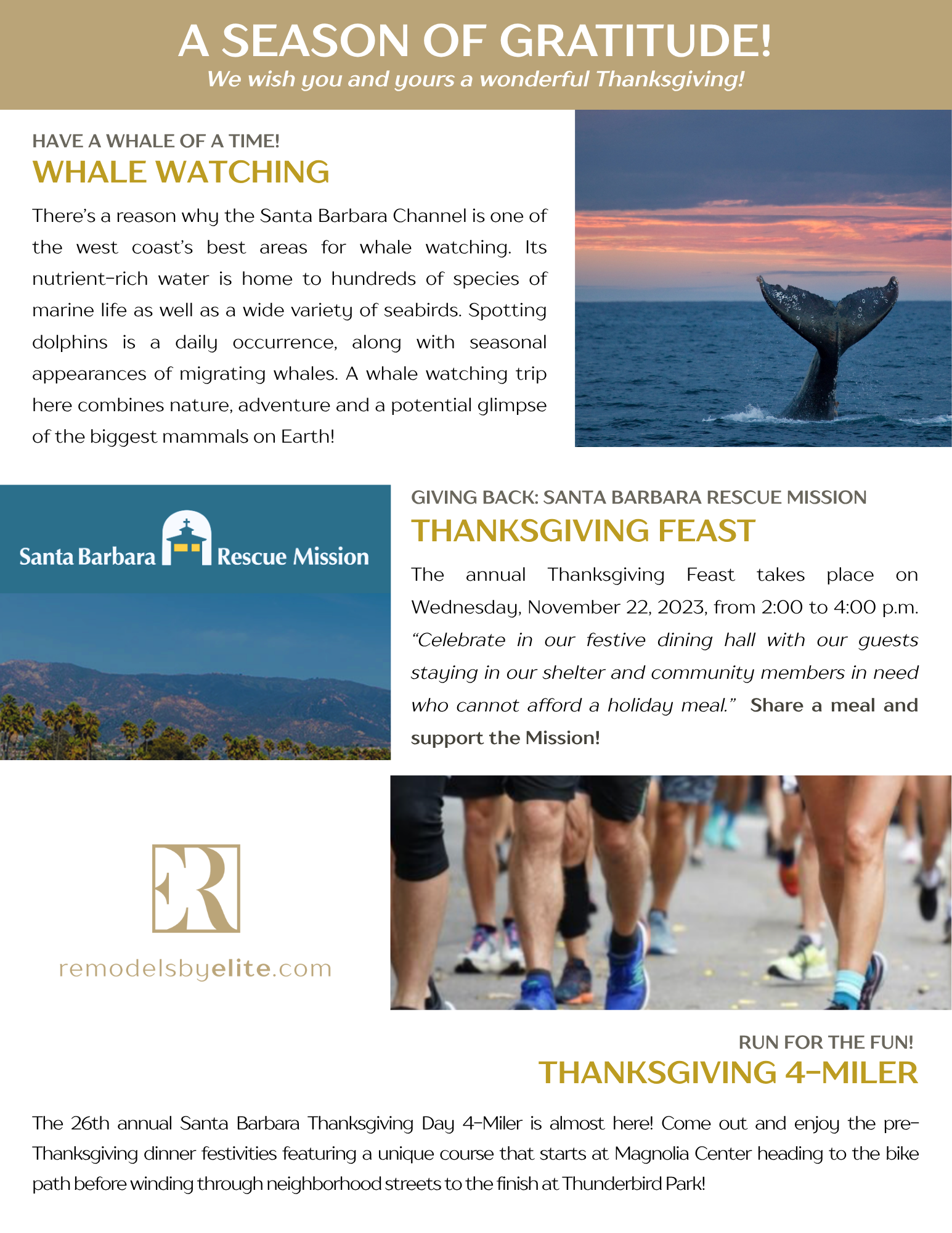 Copy of ELITE November  2025 Newsletter for BLOG.png