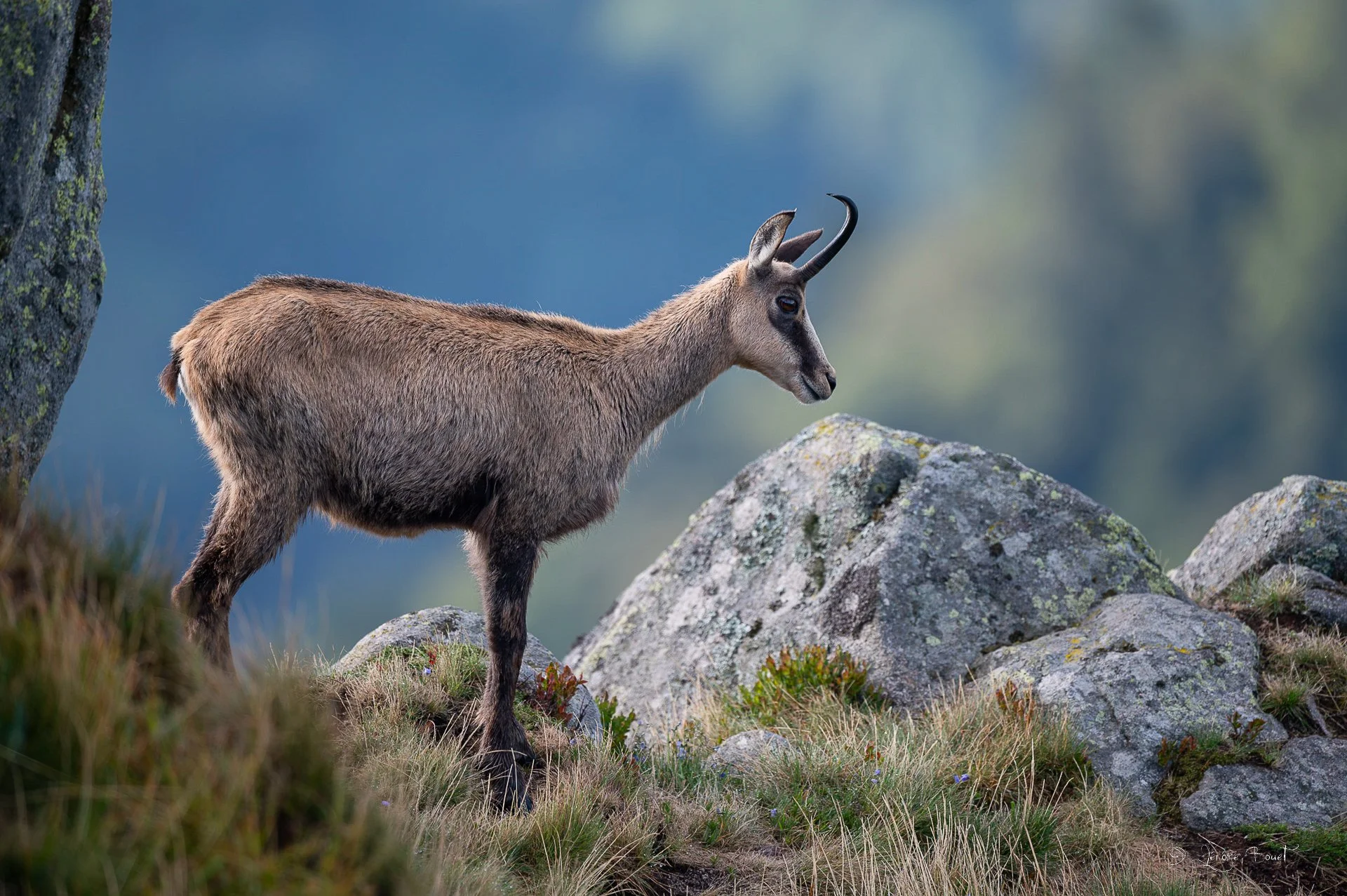 Sur les hauteur du Hohneck