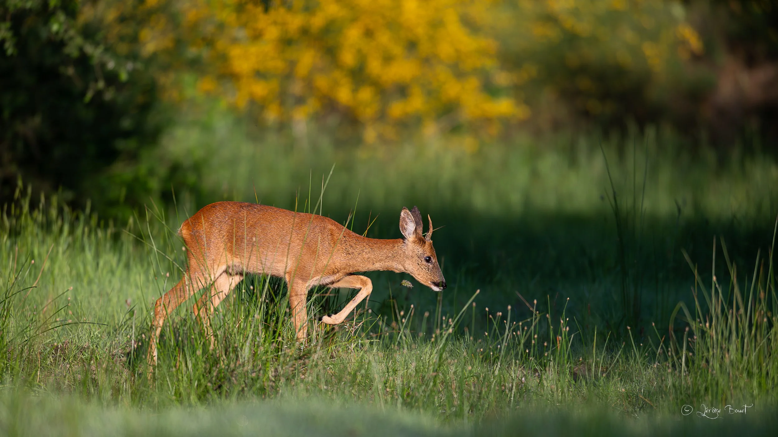 Rencontre matinale