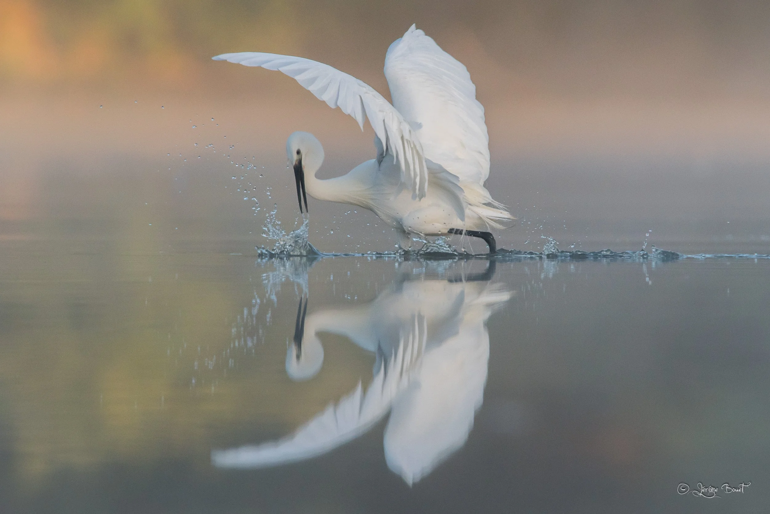 Ballet aquatique