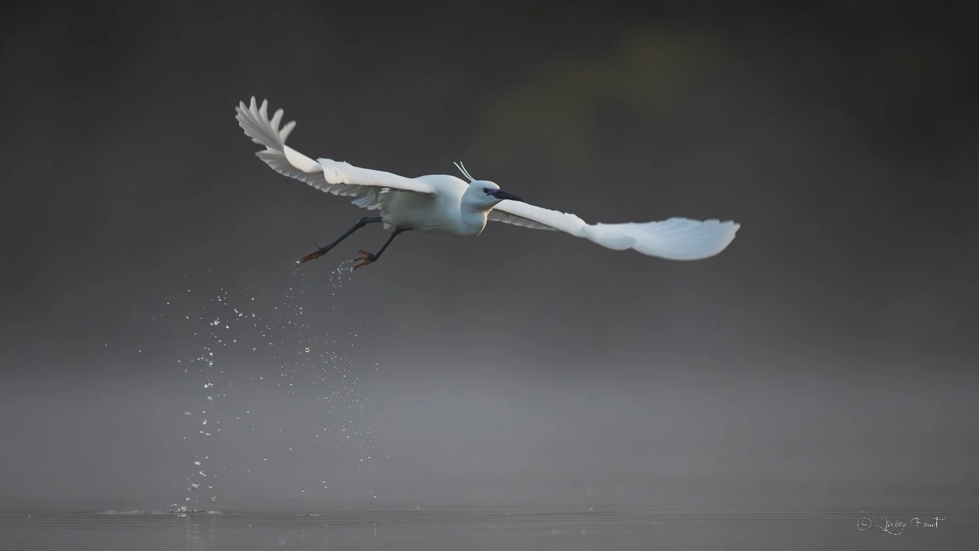 Décollage dans la brume