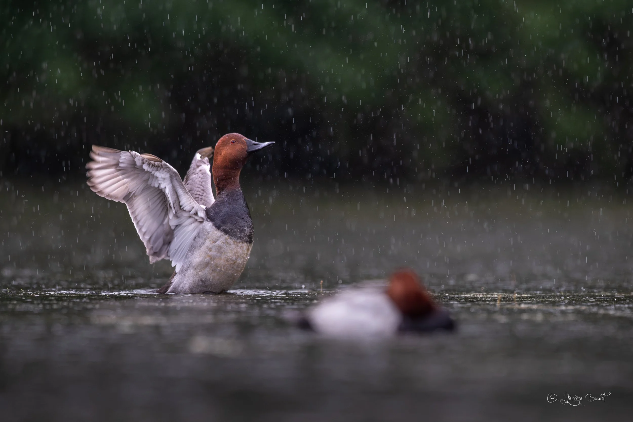 Séance d'étirement sous la pluie