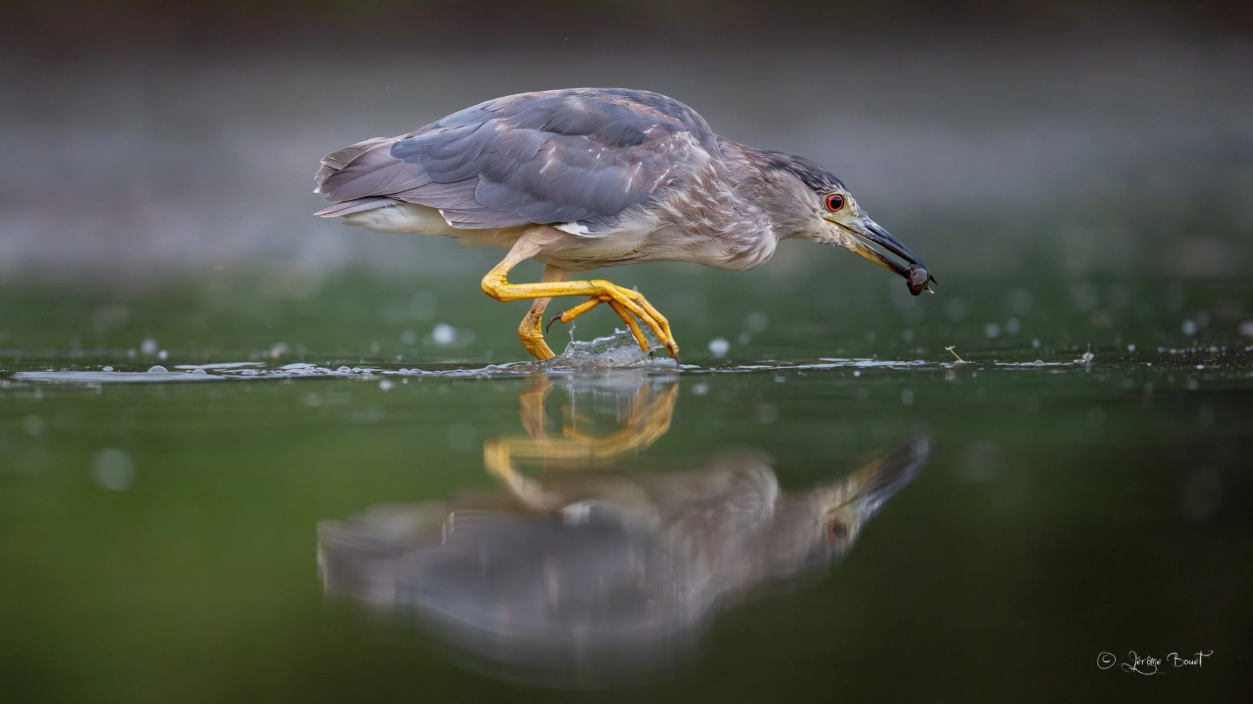 L'apprentissage de la pêche