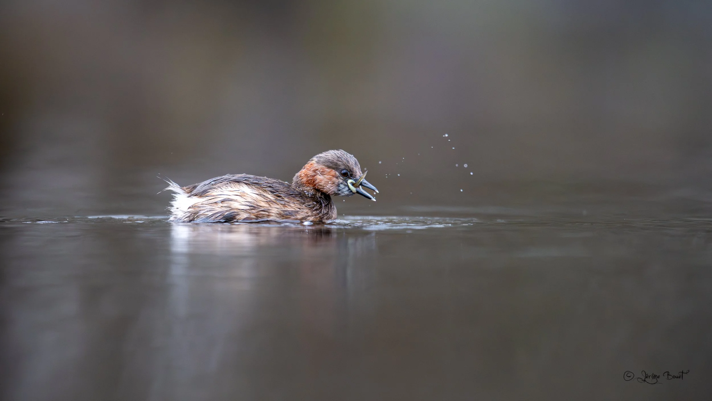 Un pêcheur hors pair