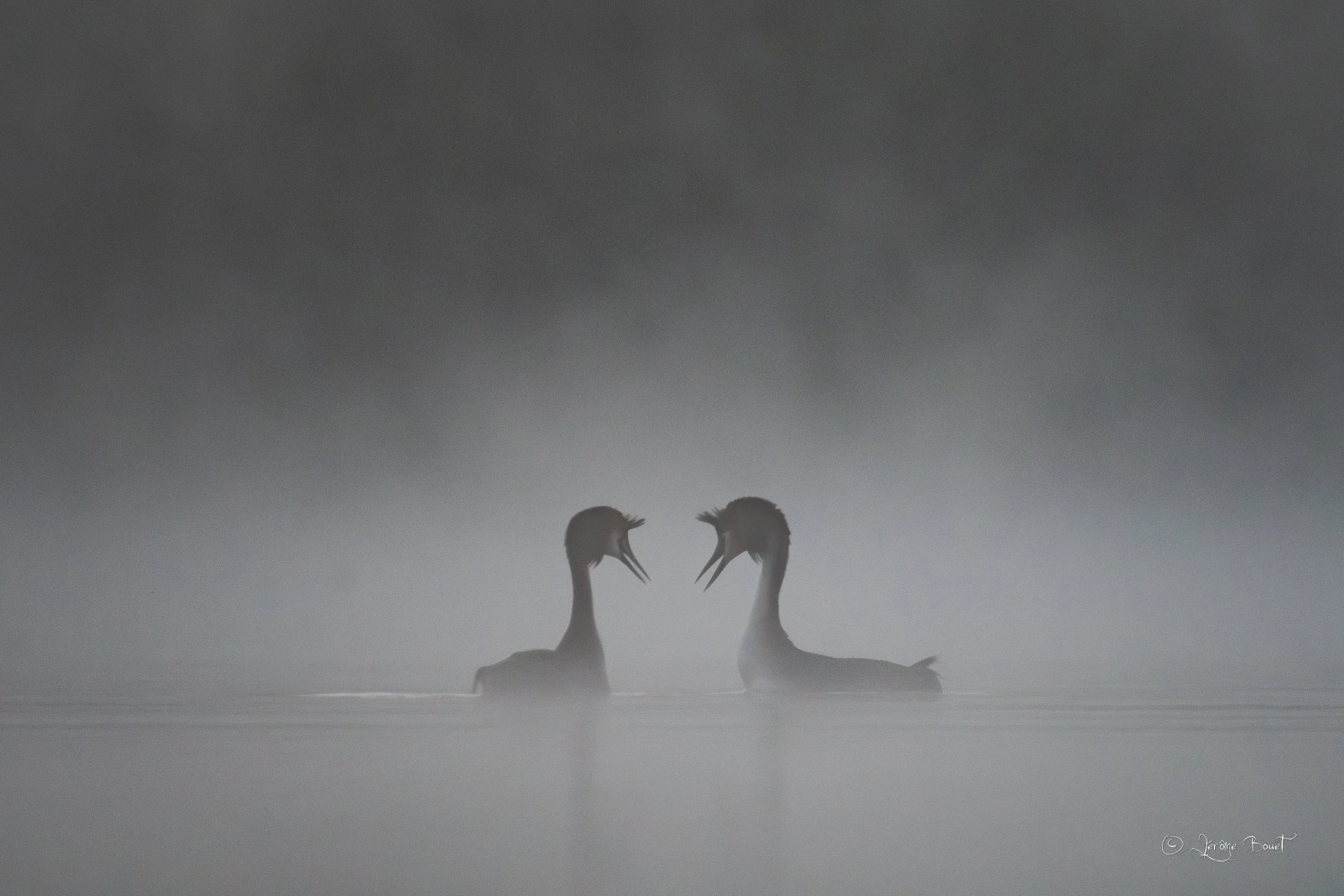 Un couple amoureux