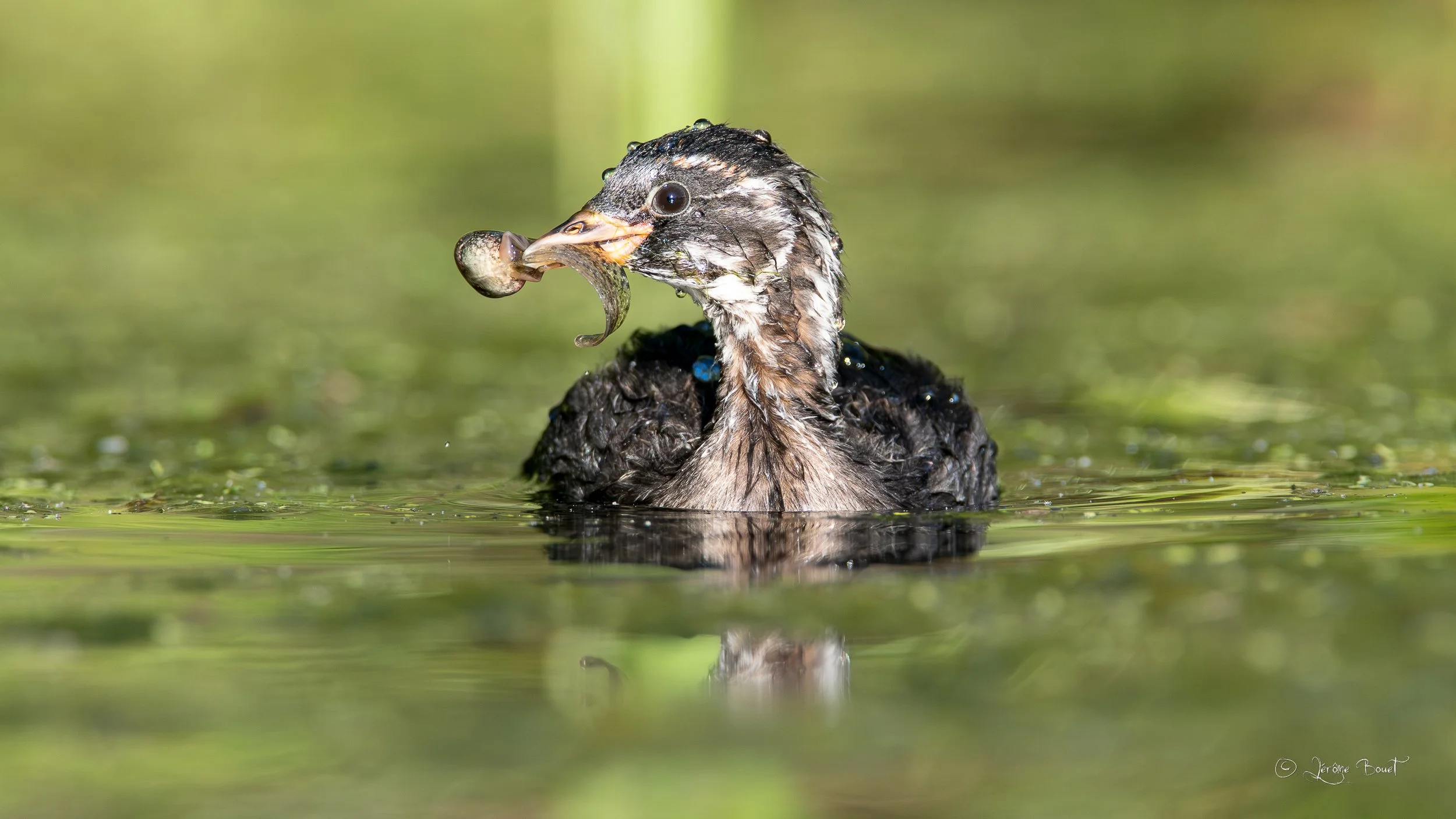 Un jeune pêcheur talentueux
