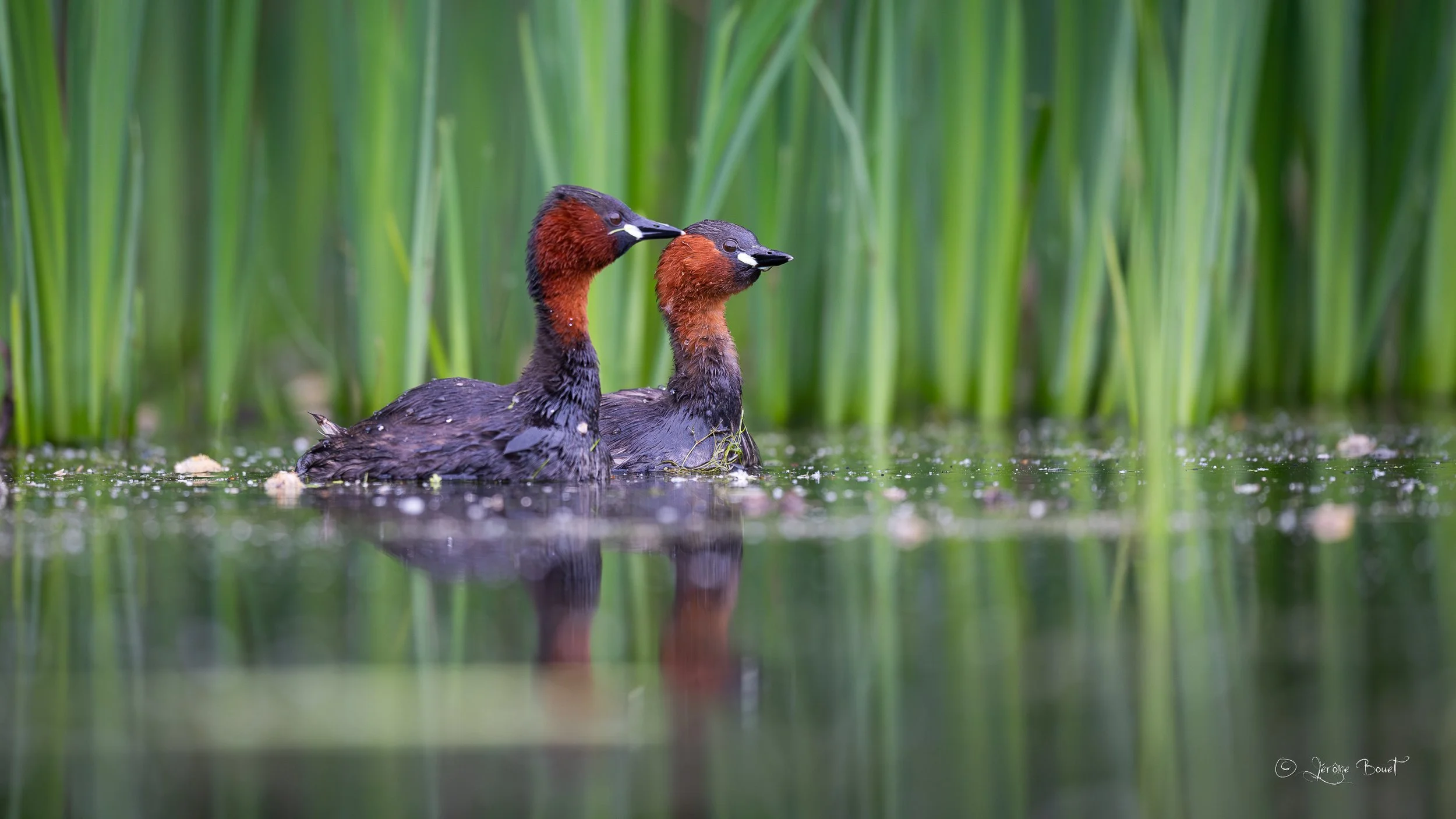 Un couple se forme