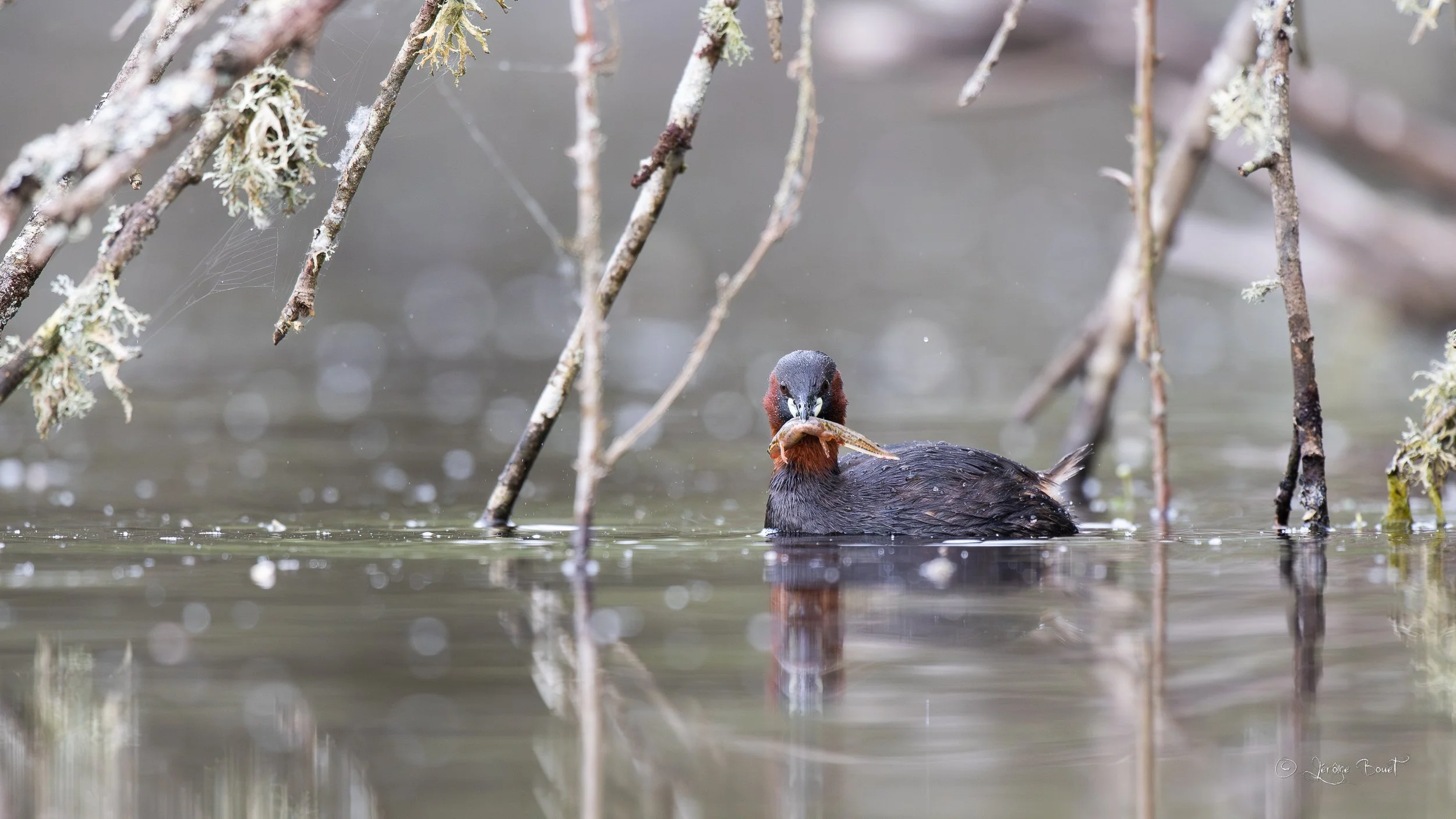 Fier de sa pêche
