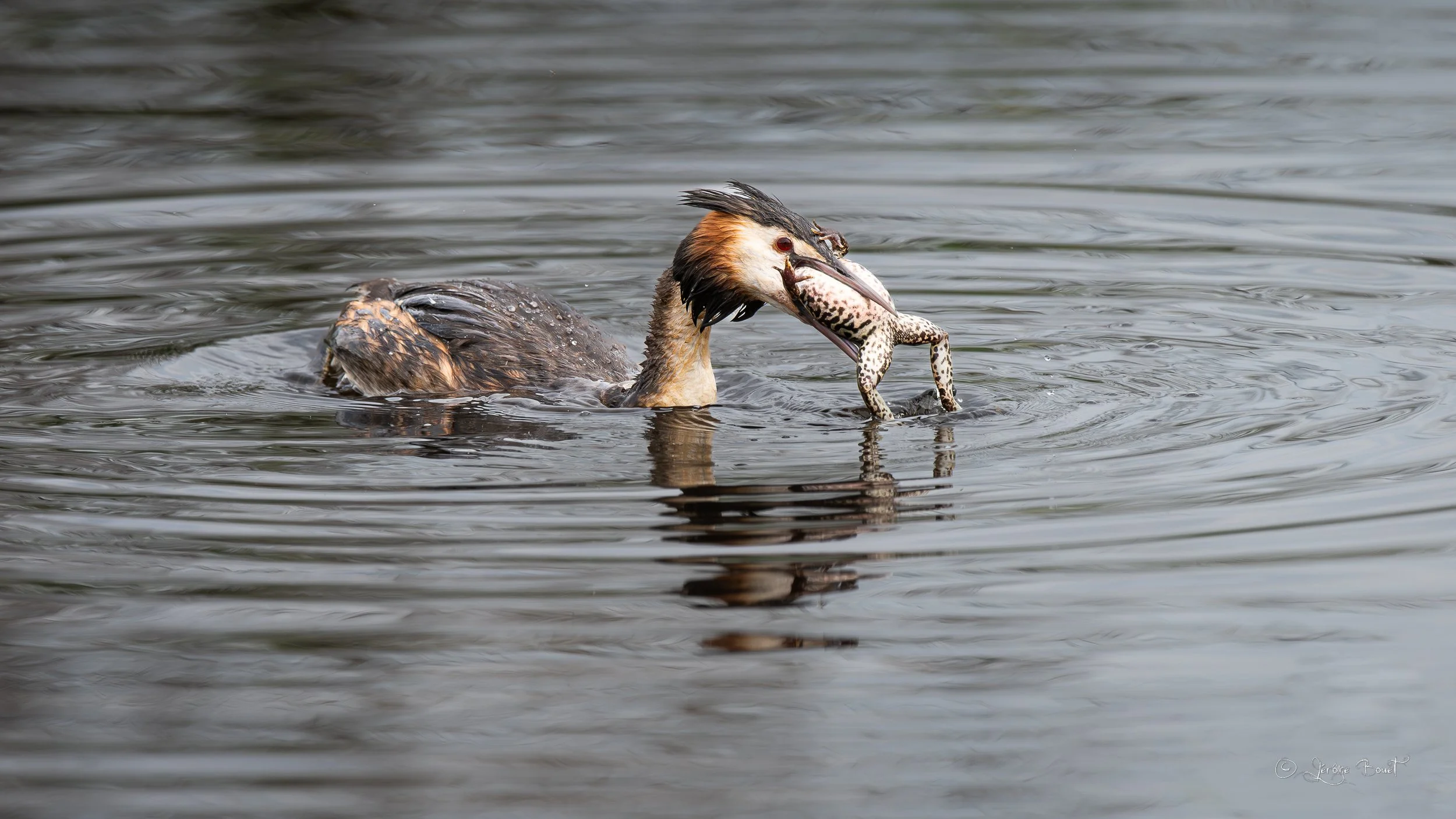 Une grosse faim