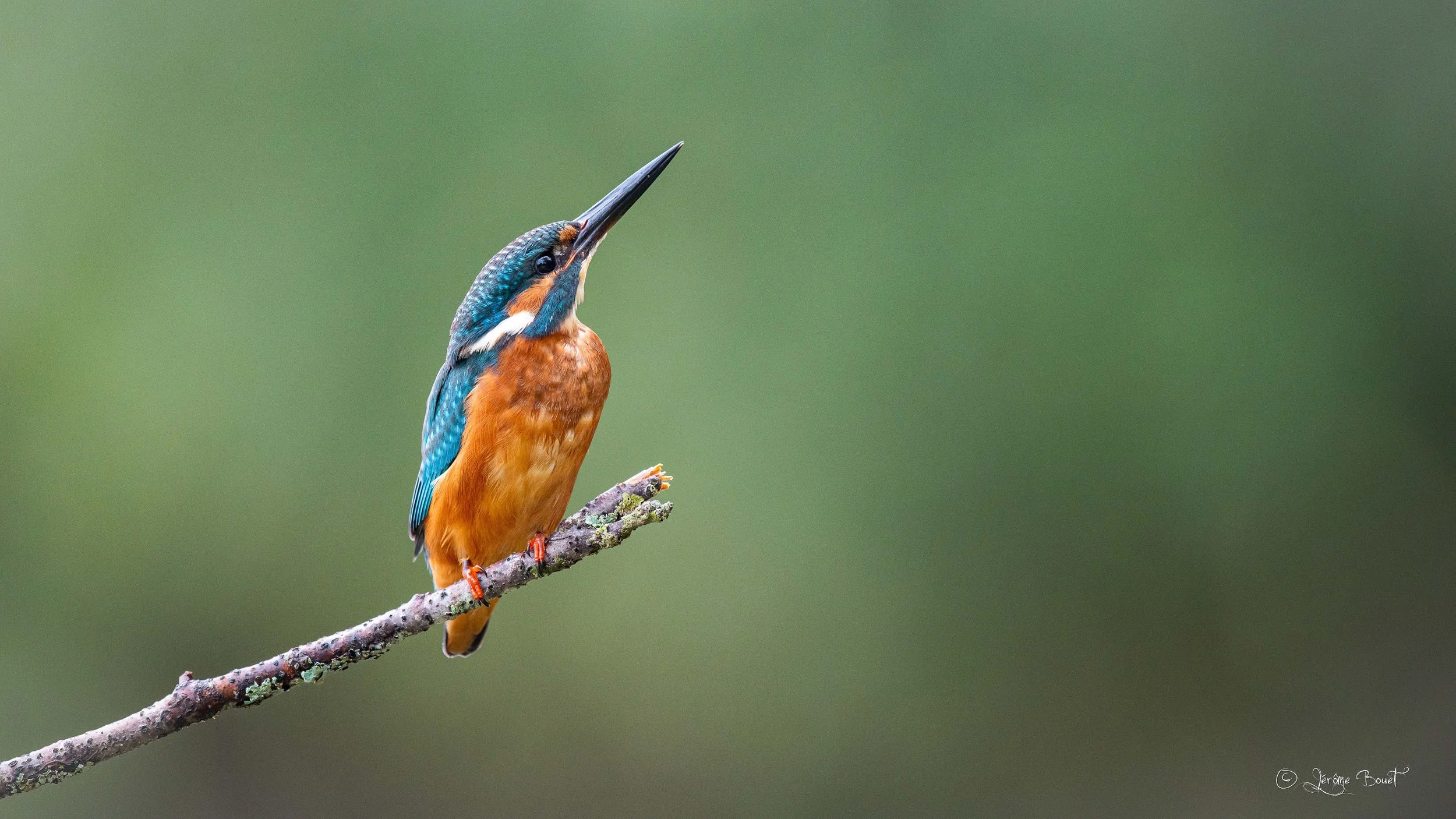 Pointer vers le ciel