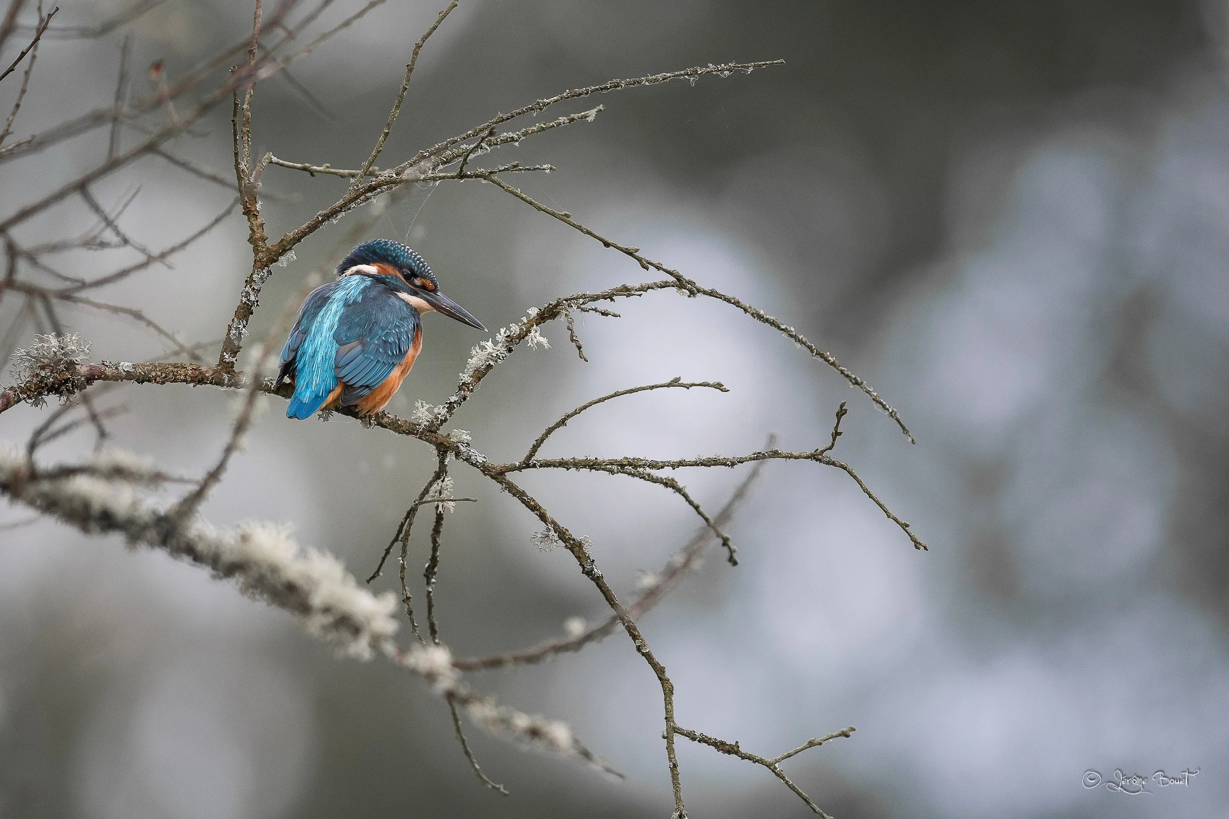 Une touche de couleurs dans la grisaille