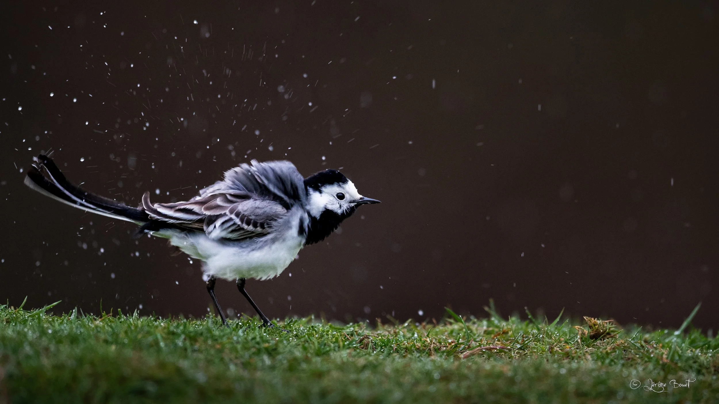 En mode essorage