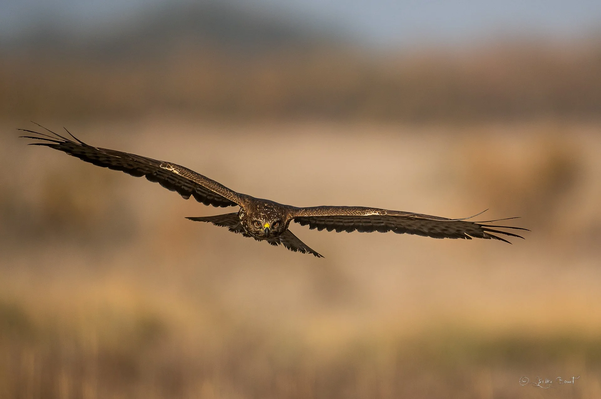 Buse variable en approche
